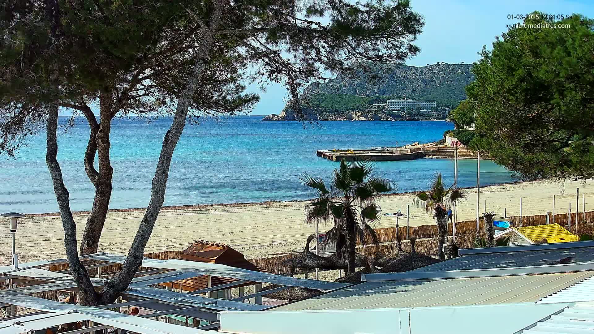 A sandy beach with turquoise water, palm trees, and a pier is visible from behind a line of trees under a sunny sky.