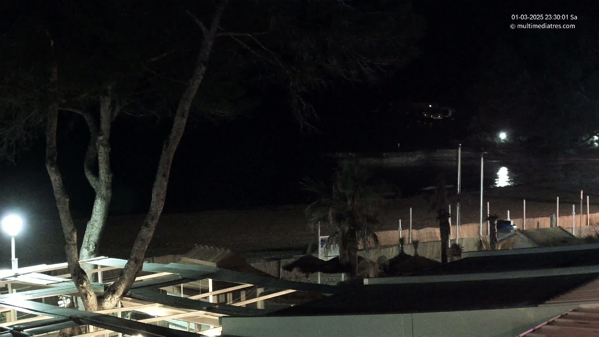 A nighttime view of a beach with a large tree partially obscuring a patio structure, under dark, clear skies.