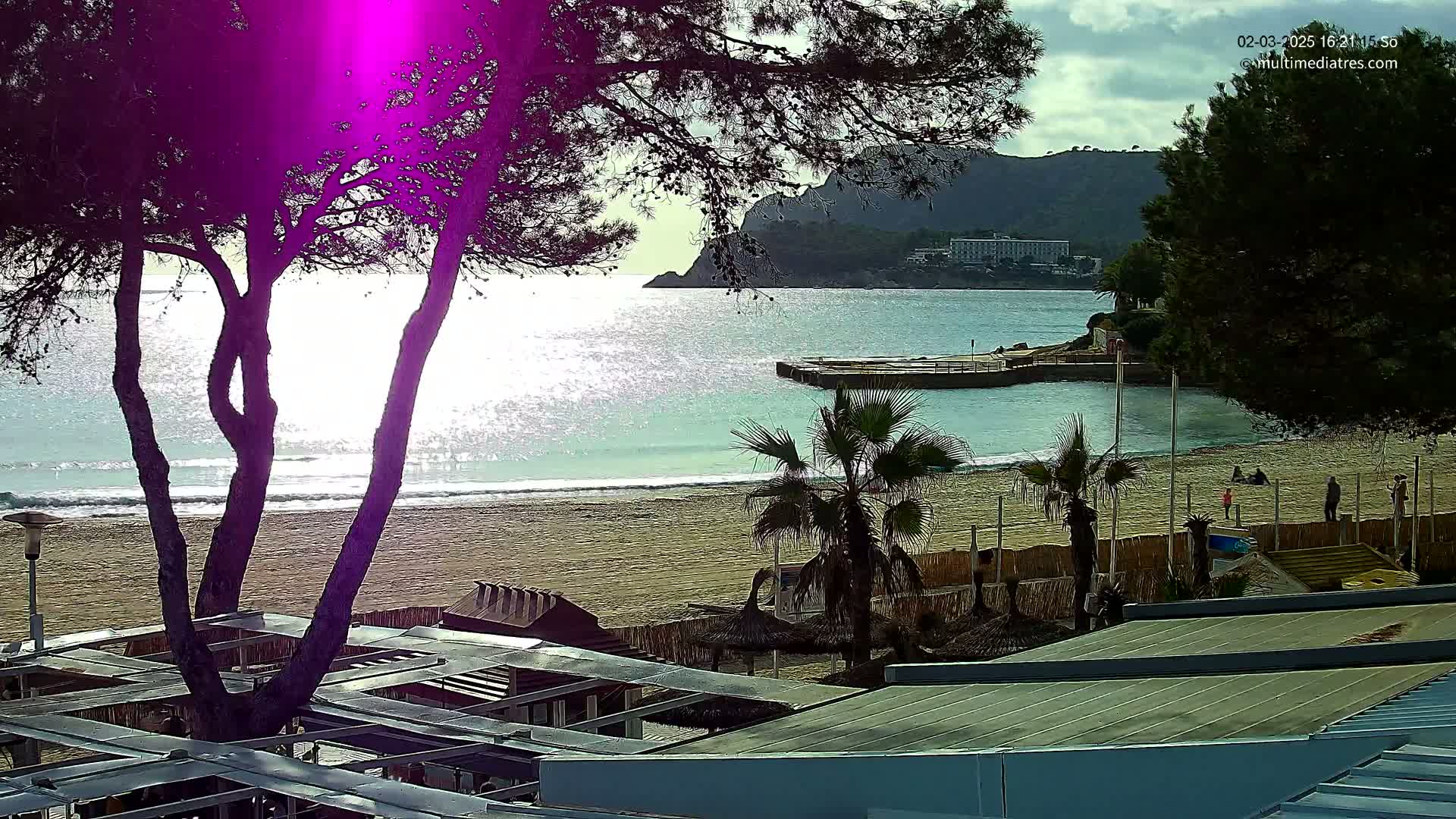 A sandy beach with calm, glittering water, palm trees, and beachside structures is seen under a partly cloudy sky, viewed from behind a stand of trees.