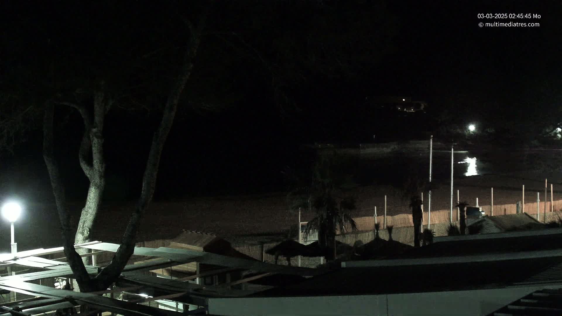 A nighttime view of a dark beach with a few palm trees and beach umbrellas, a large tree in the foreground, and a dimly lit shoreline.
