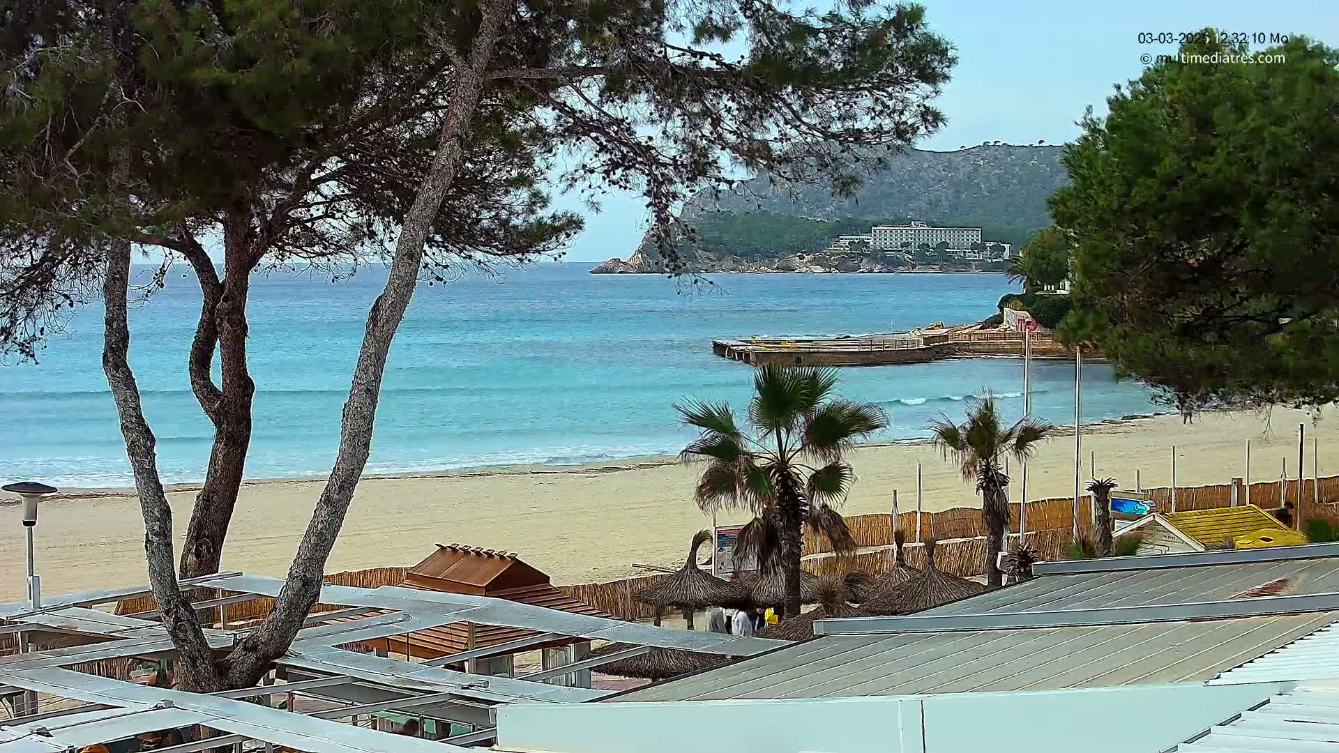 A sandy beach with turquoise water and small waves, palm trees, and beach structures is viewed from behind a row of pine trees on a partly cloudy day.