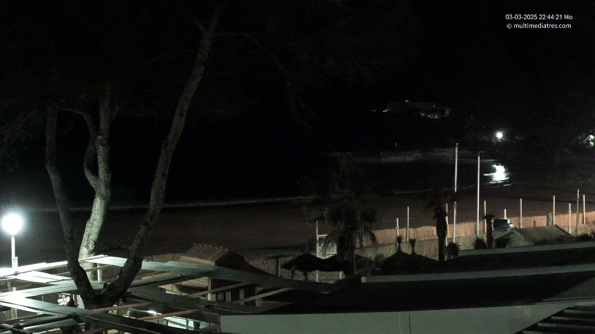 A nighttime view of a dark beach with palm trees and beach umbrellas, under a clear sky.