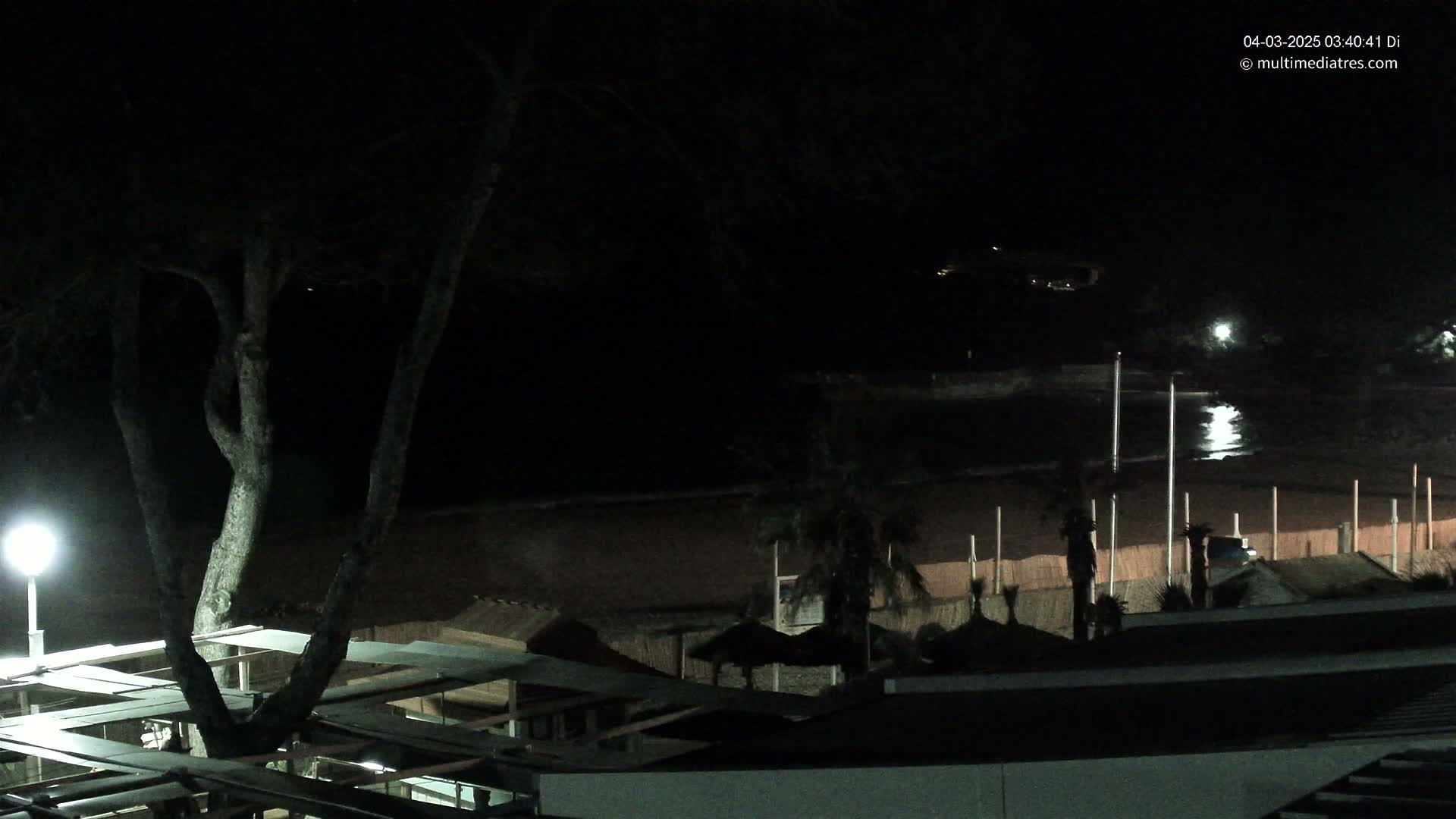 A nighttime view of a dark beach with calm water, palm trees, and a large tree illuminated by a lamp post near a building.