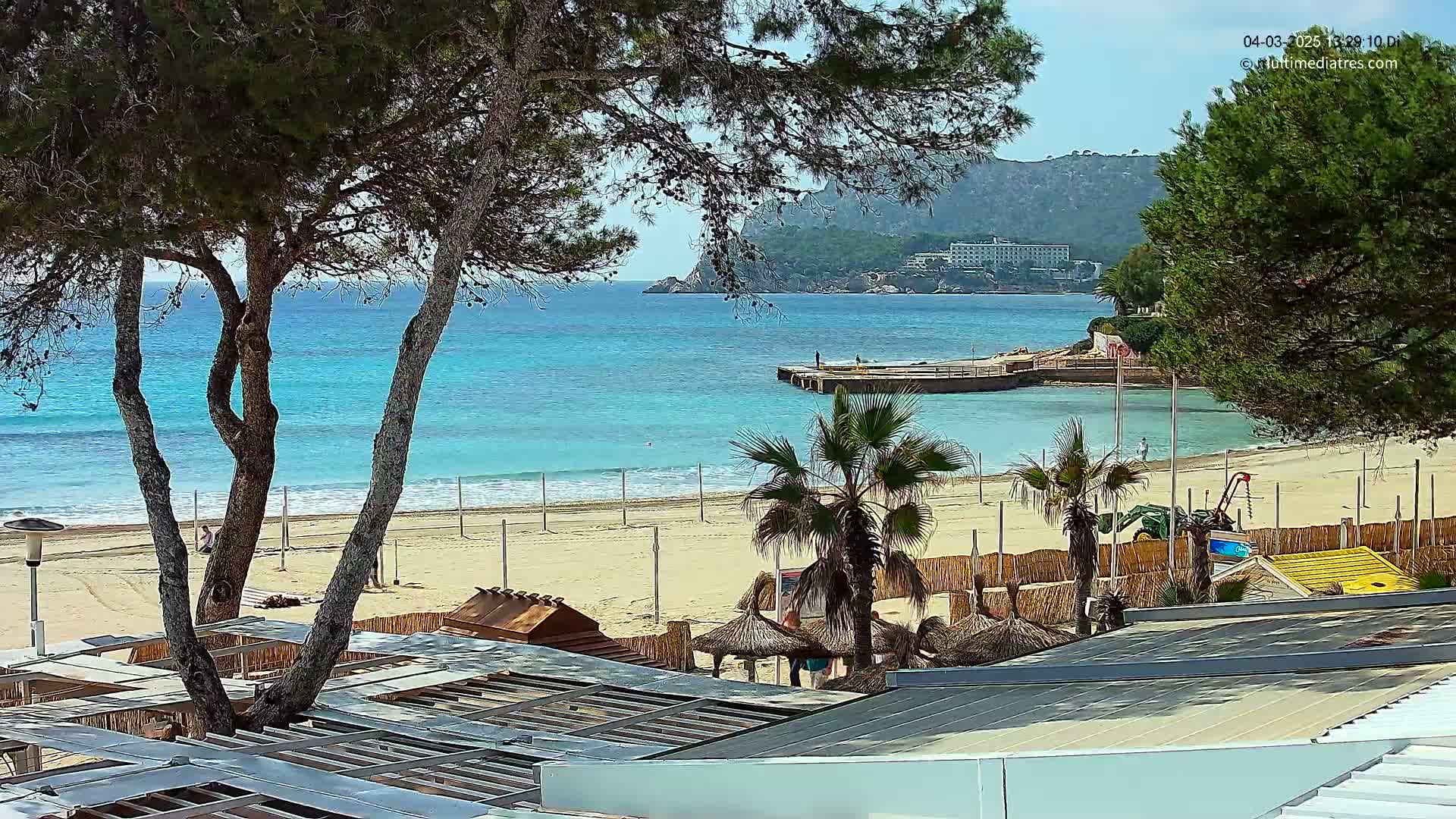 A sandy beach with turquoise water, palm trees, and beach umbrellas is viewed from behind a row of trees on a sunny day.