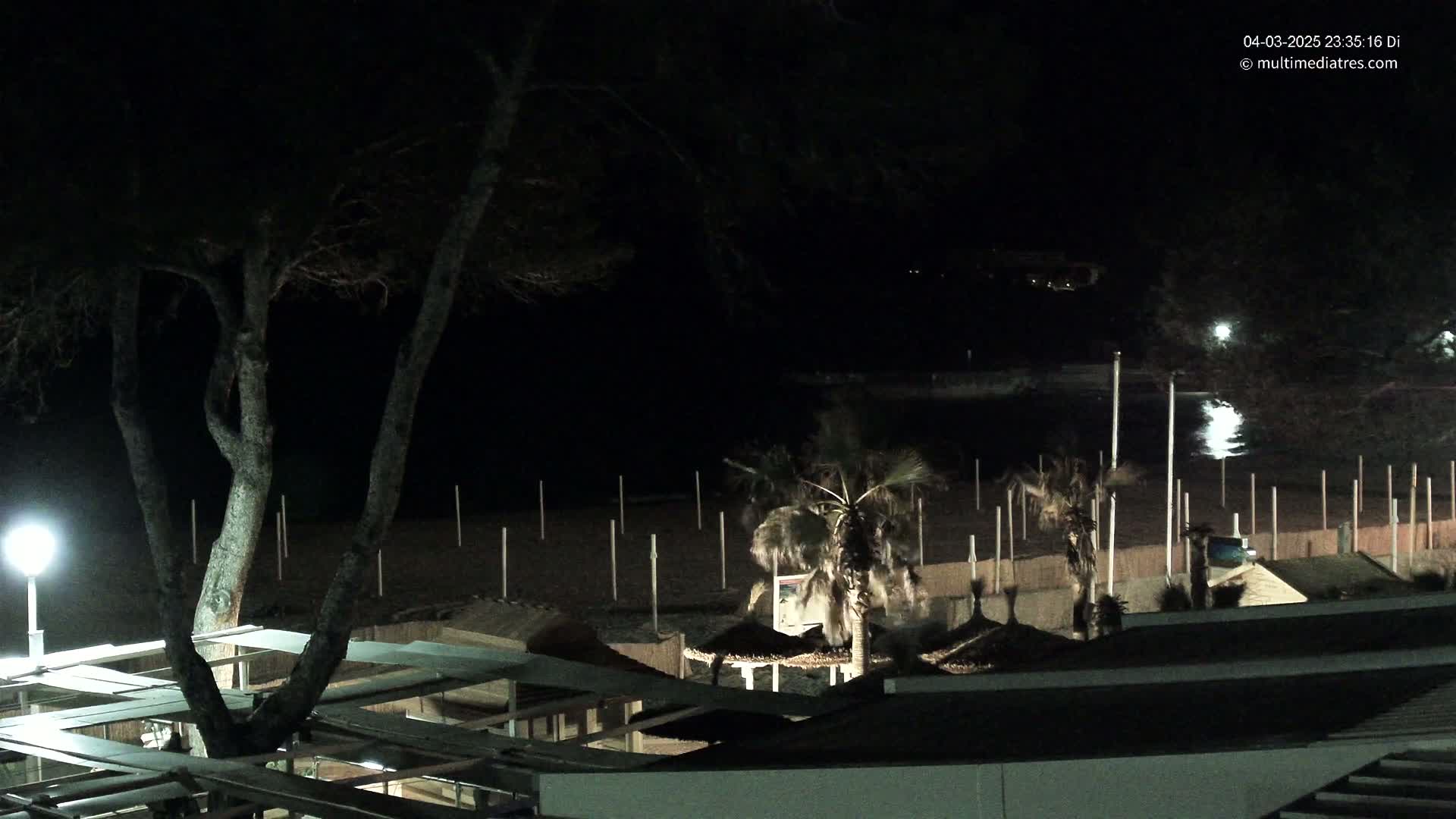 A nighttime view of a beach with palm trees, beach umbrellas, and a large tree illuminated by a lamp, showing calm water under a dark sky.