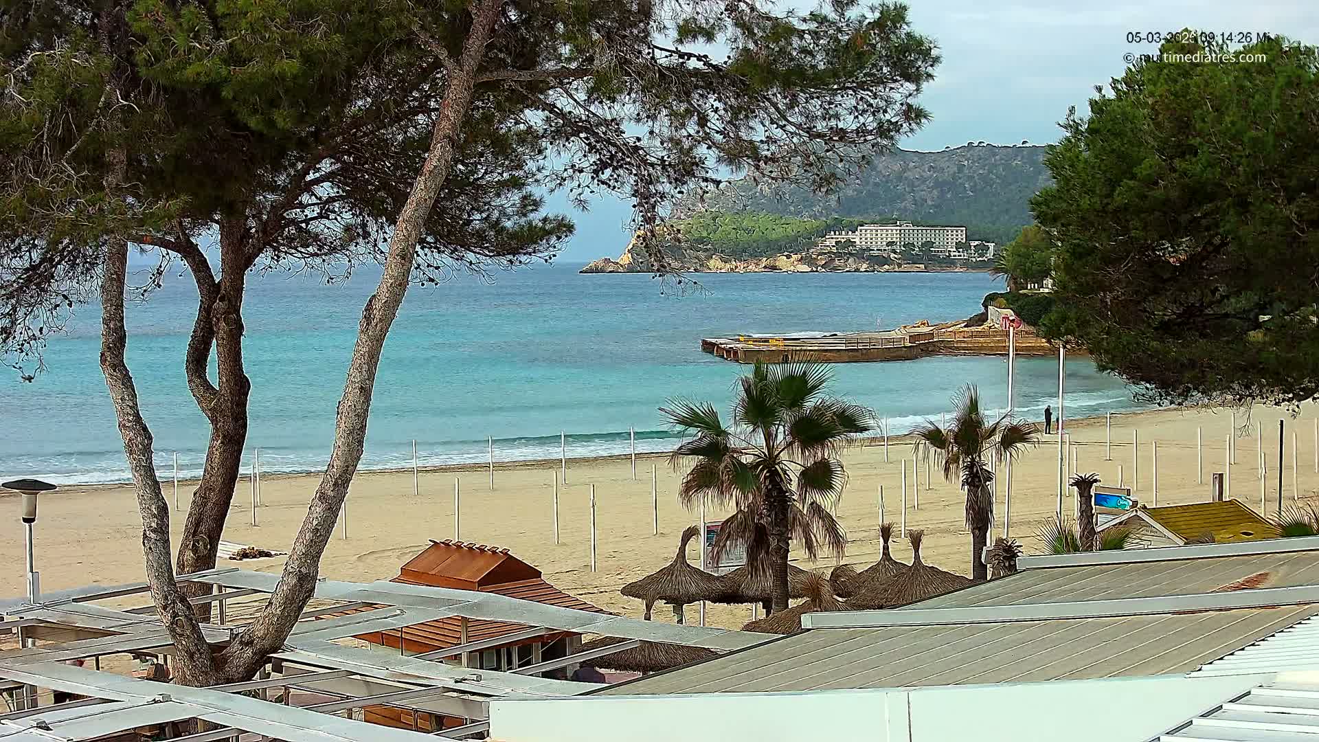 A sandy beach with calm, turquoise water, palm trees, and buildings is partially obscured by pine trees under a mostly cloudy sky.