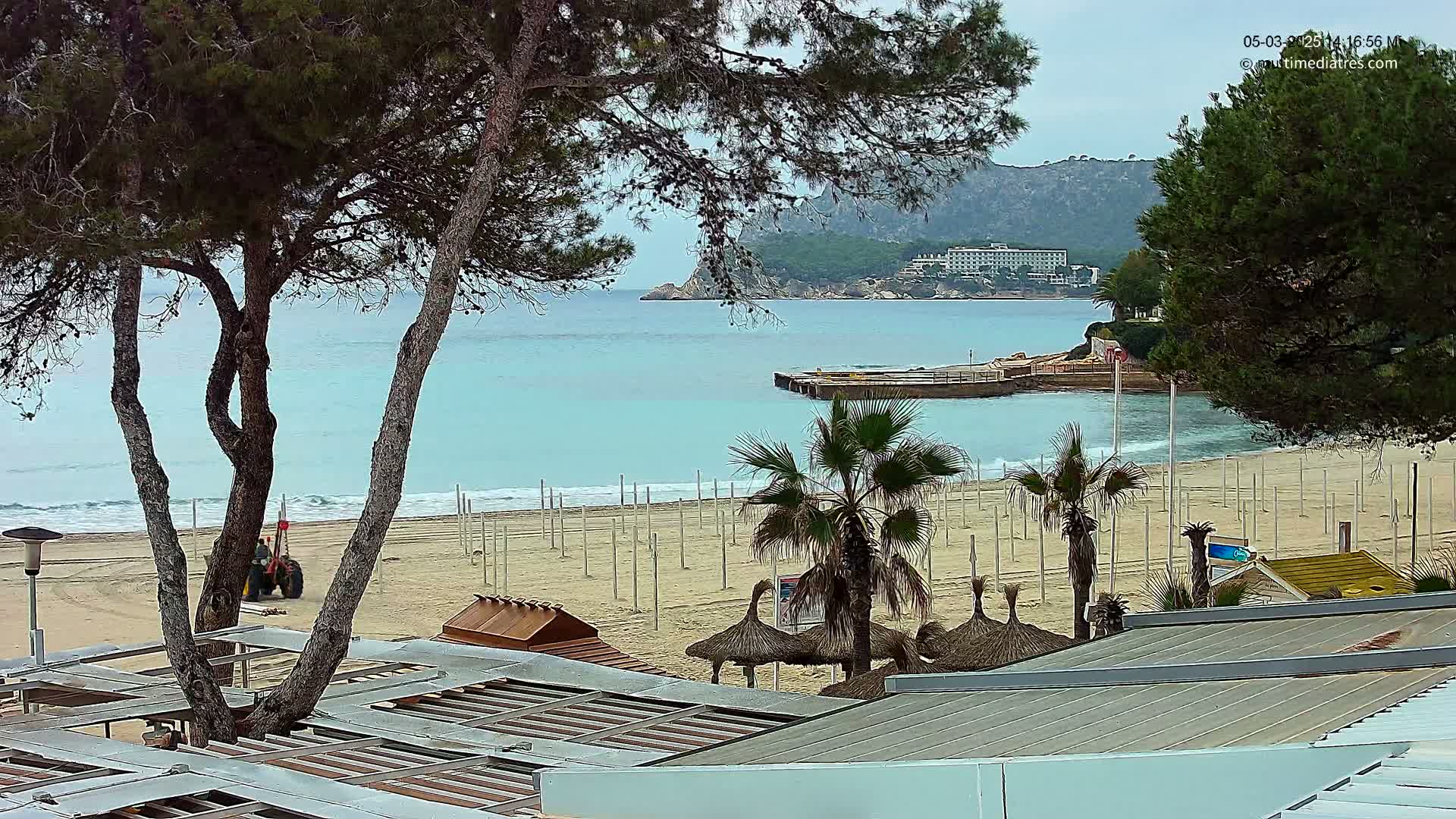 A sandy beach with palm trees and beach umbrellas is visible from behind a row of trees, overlooking a calm, light-blue ocean and a distant hotel nestled against a hillside.