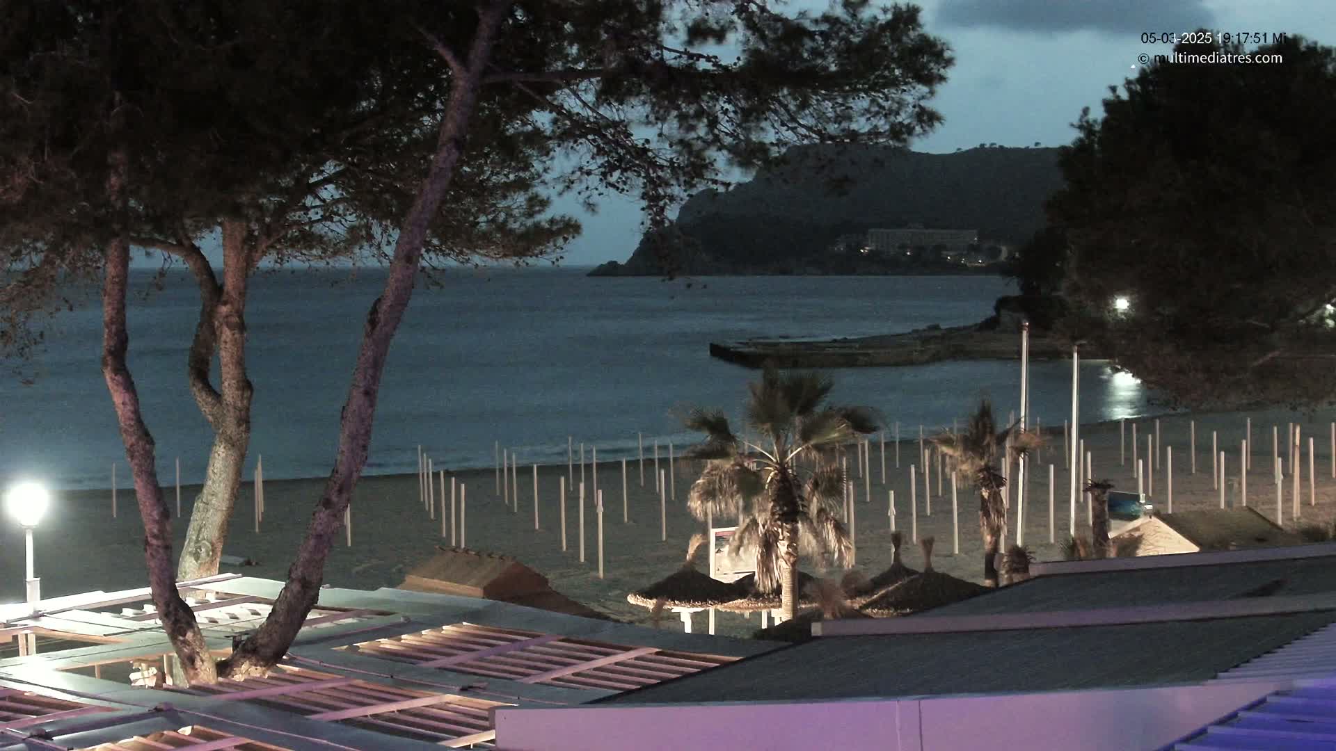 A nighttime beach scene shows a sandy shore with rows of upright posts, palm trees, and beach umbrellas under a mostly clear, dark sky, with a calm sea and hills in the distance.