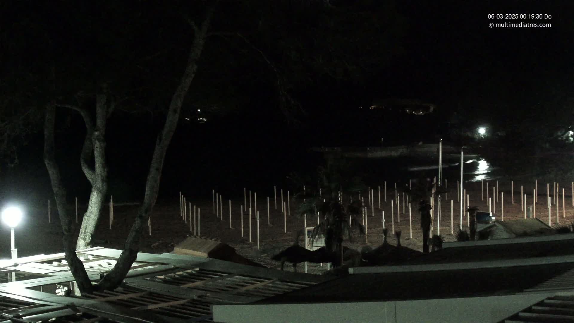A nighttime view of a beach with numerous upright posts in the sand, a tree partially obscuring a structure, and calm water reflecting light in the distance.