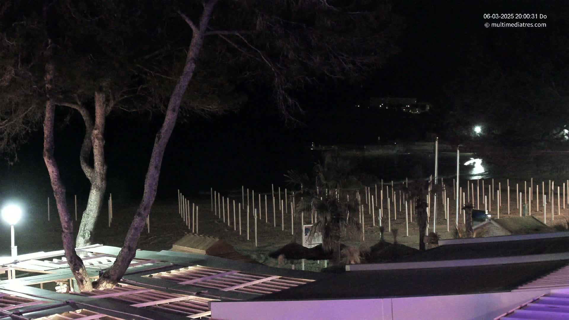 At night, a beach is partially visible, showing a sandy area with numerous poles in the sand, palm trees, and the dark silhouettes of trees overhead, illuminated by artificial light.