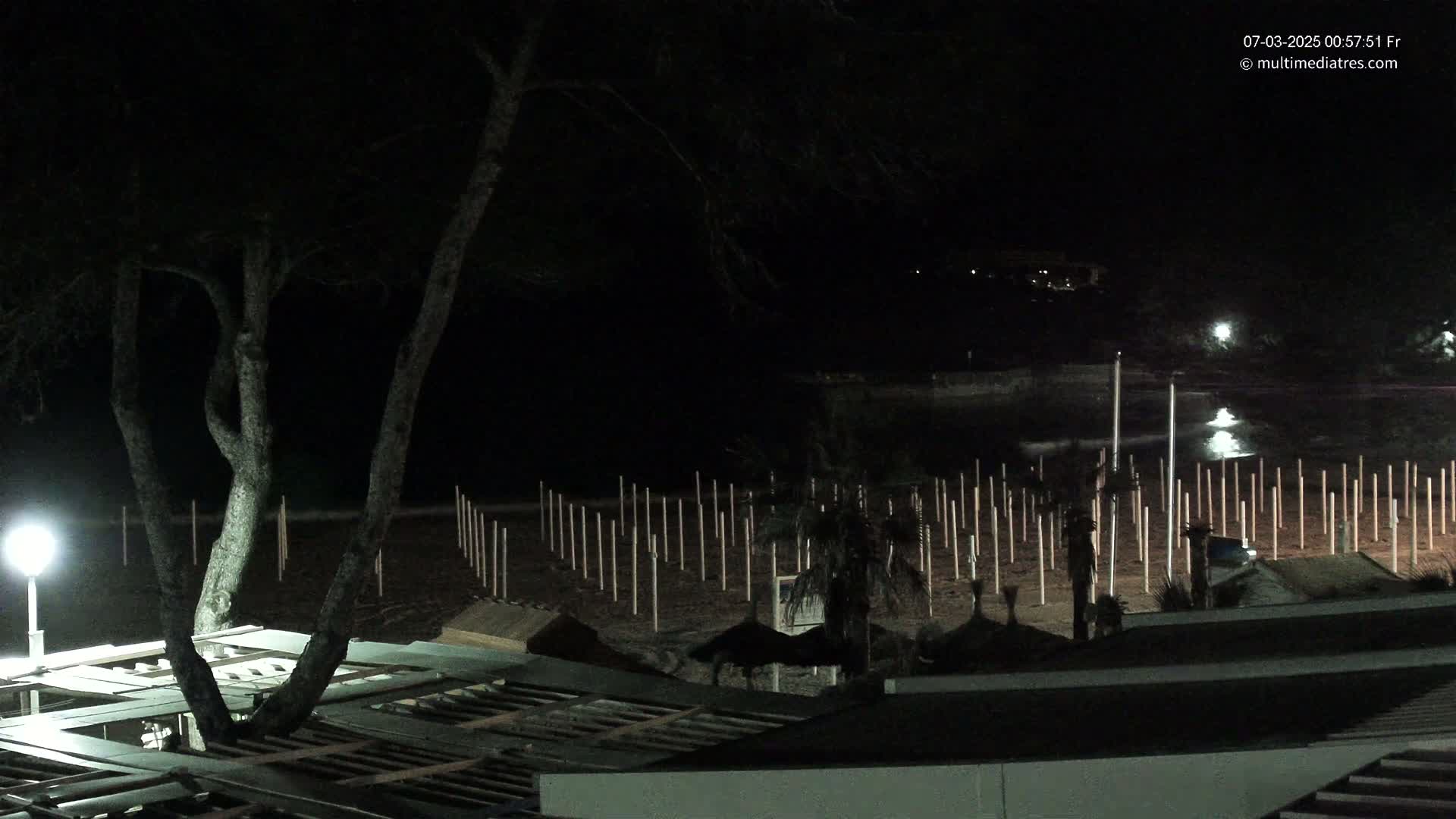 A nighttime view of a beach at night, showing a sandy area with numerous upright posts and a few palm trees, under a dark sky.