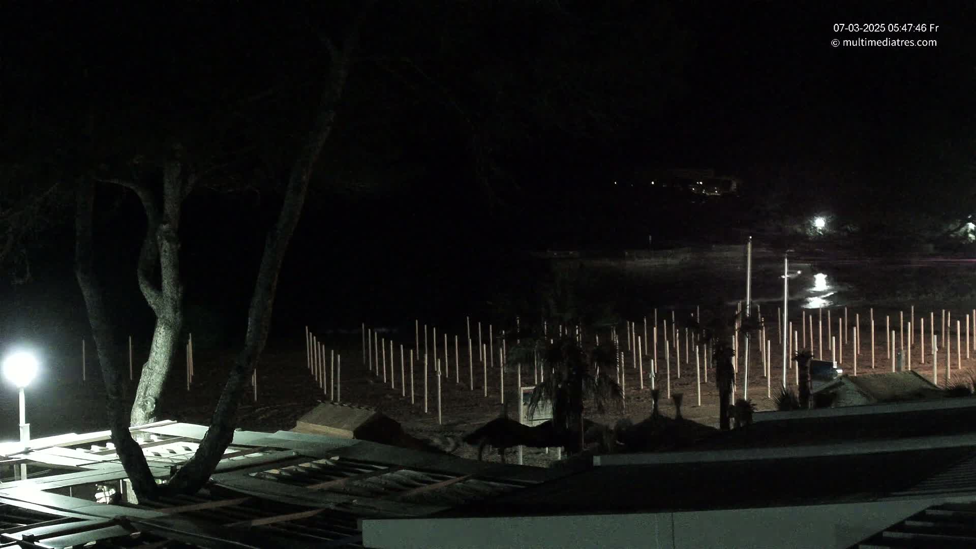 A nighttime view of a beach with numerous evenly spaced posts, a tree, and a structure partially obscured by darkness.