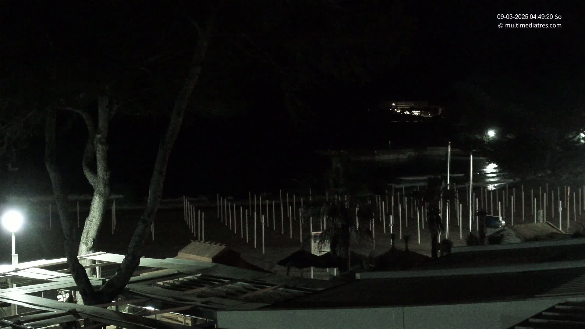 A nighttime view of a beach at low tide, with numerous upright posts standing in the sand, a tree illuminated by a nearby lamp, and buildings in the background.