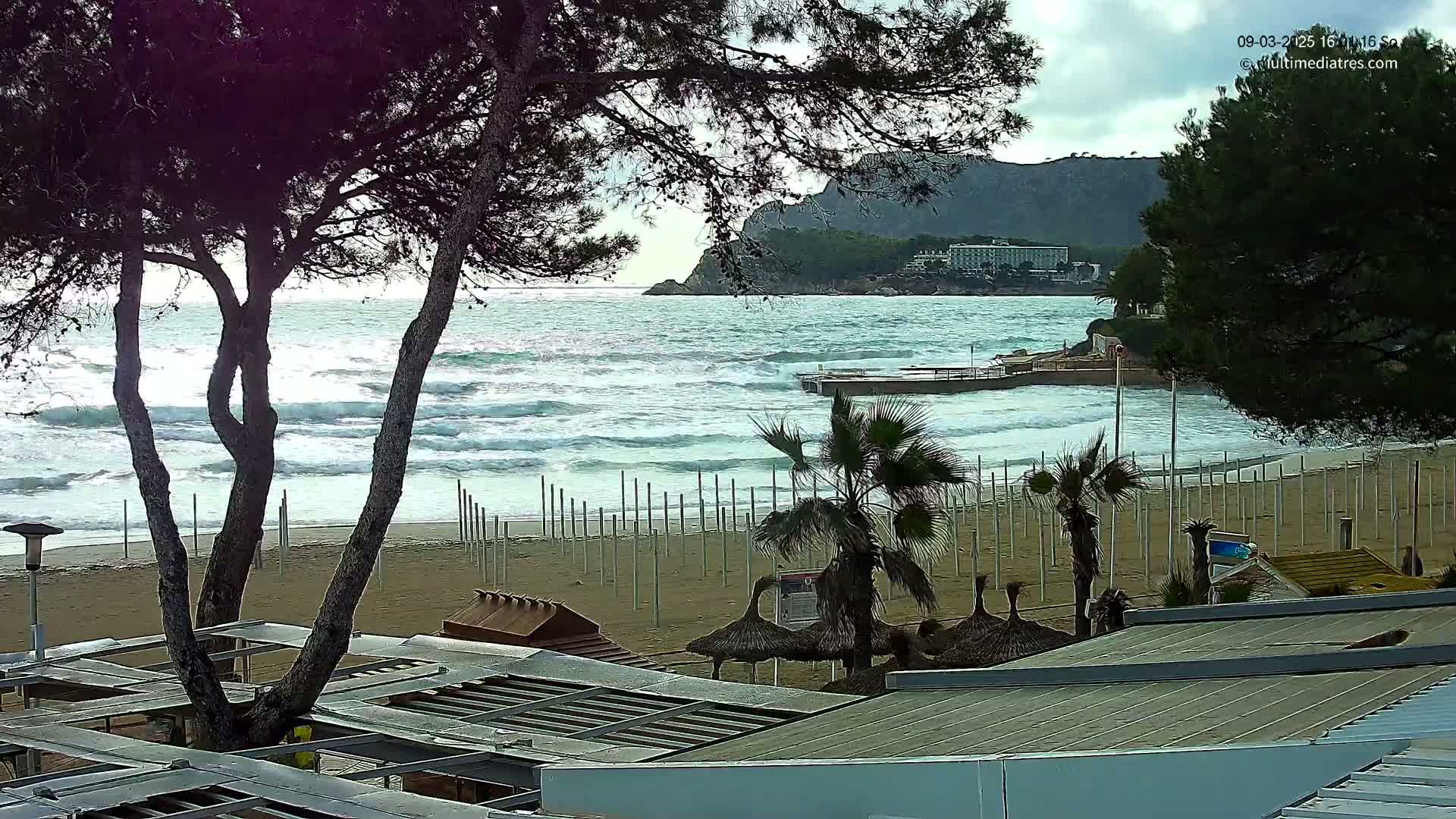 A sandy beach with moderate waves, palm trees, and beach umbrellas is seen from behind a row of trees under an overcast sky, with a rocky headland and buildings in the distance.