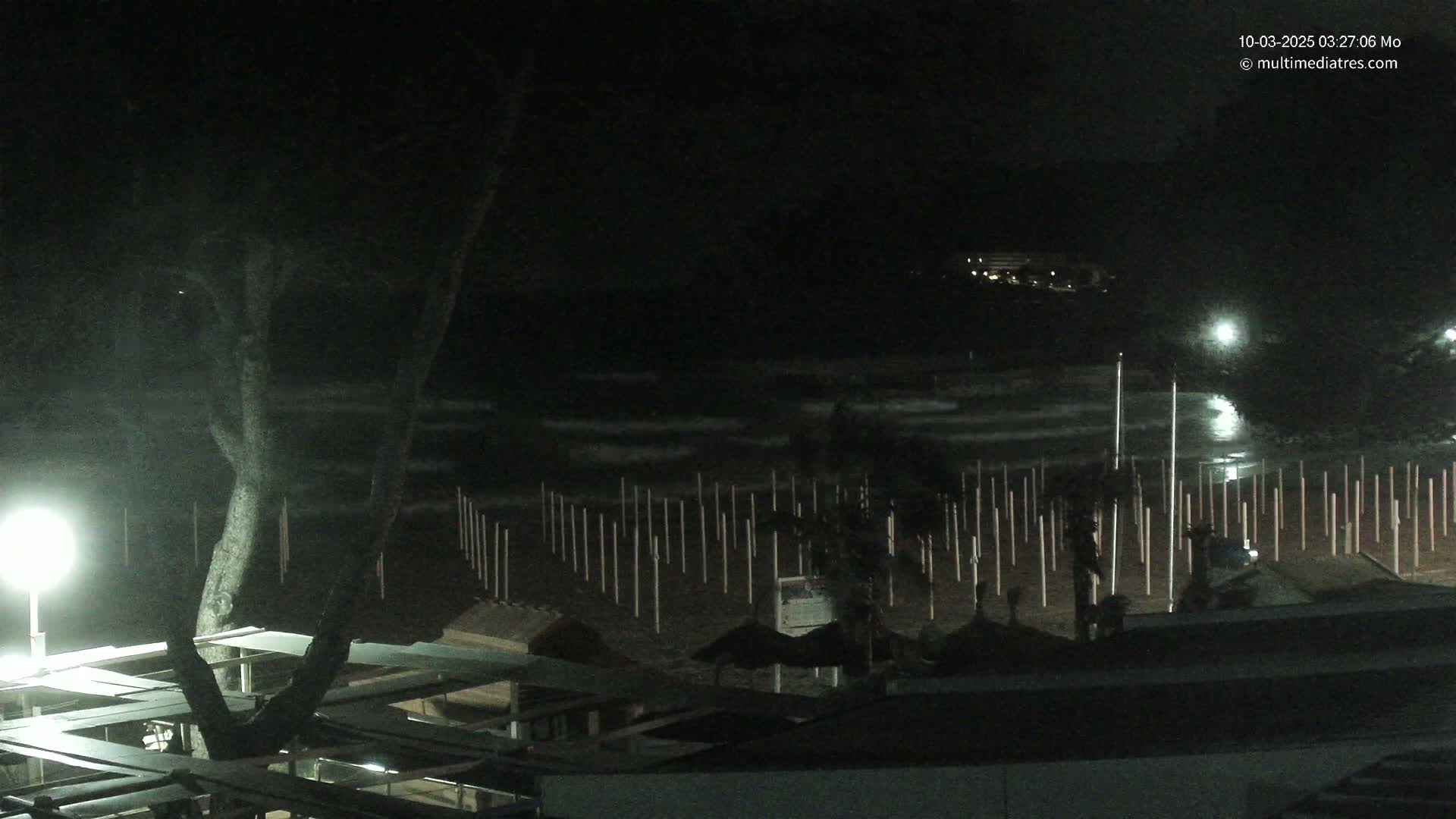 A nighttime beach scene shows a dark, wavy ocean under a mostly clear sky, with numerous poles standing in the sand and a tree in the foreground.