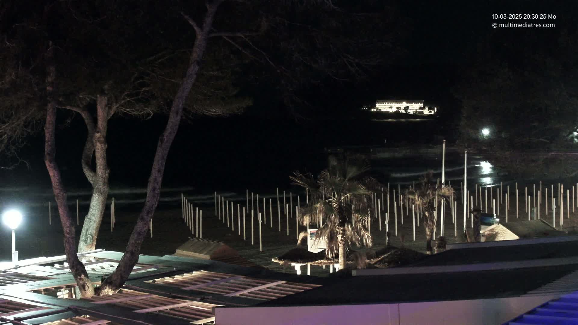 A nighttime view of a beach with gentle waves, palm trees, and a building illuminated in the distance under a dark sky.