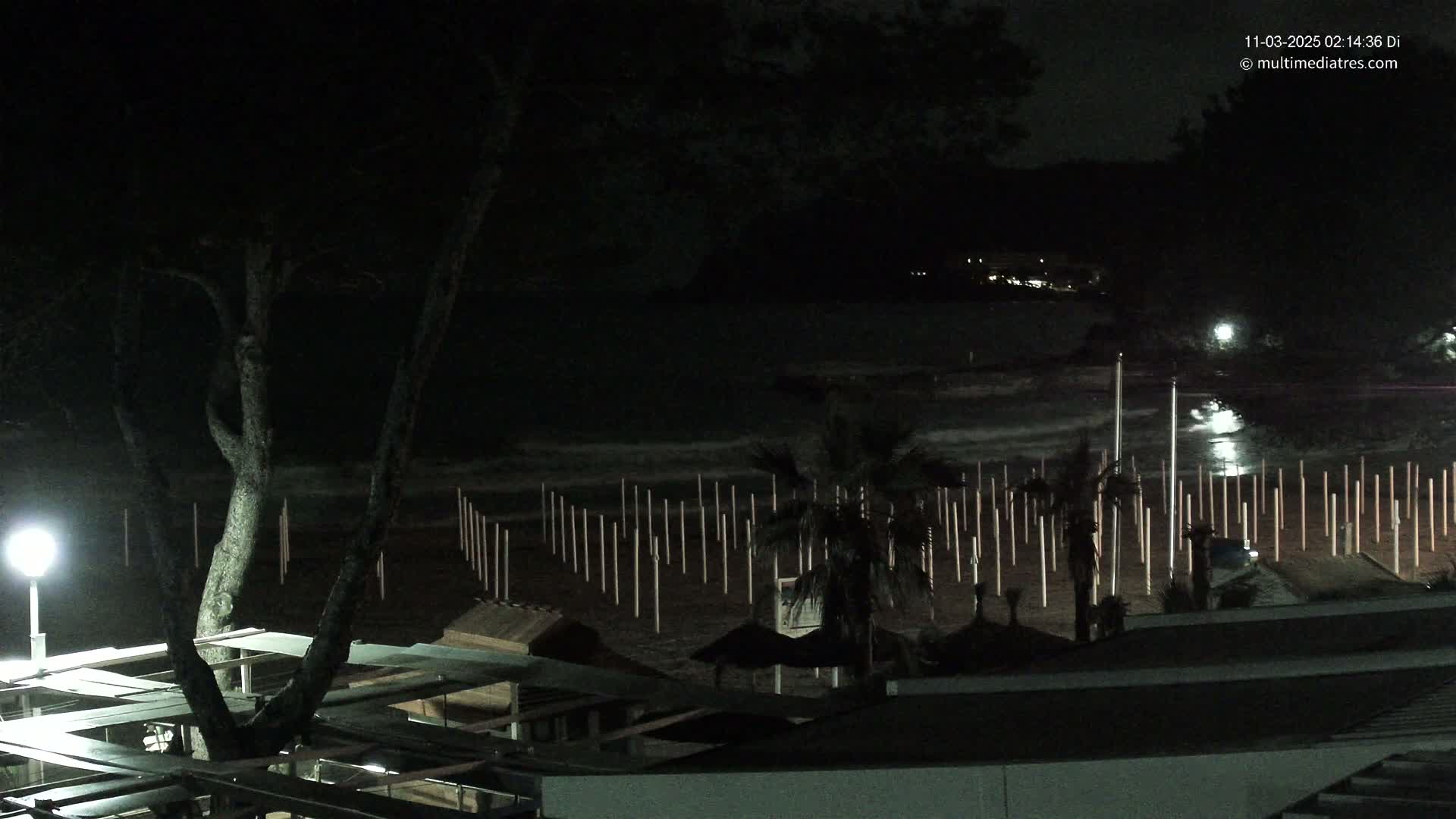 A nighttime view of a beach with numerous poles sticking up from the sand, a few palm trees, and a tree in the foreground under a dark sky.