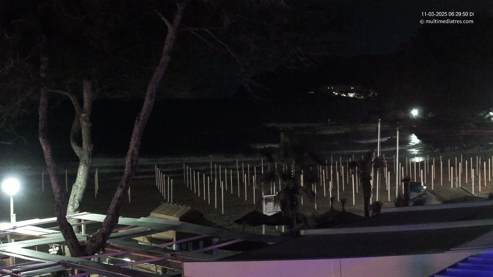A nighttime view of a beach with small waves, numerous posts on the sand, and a tree in the foreground under artificial light.
