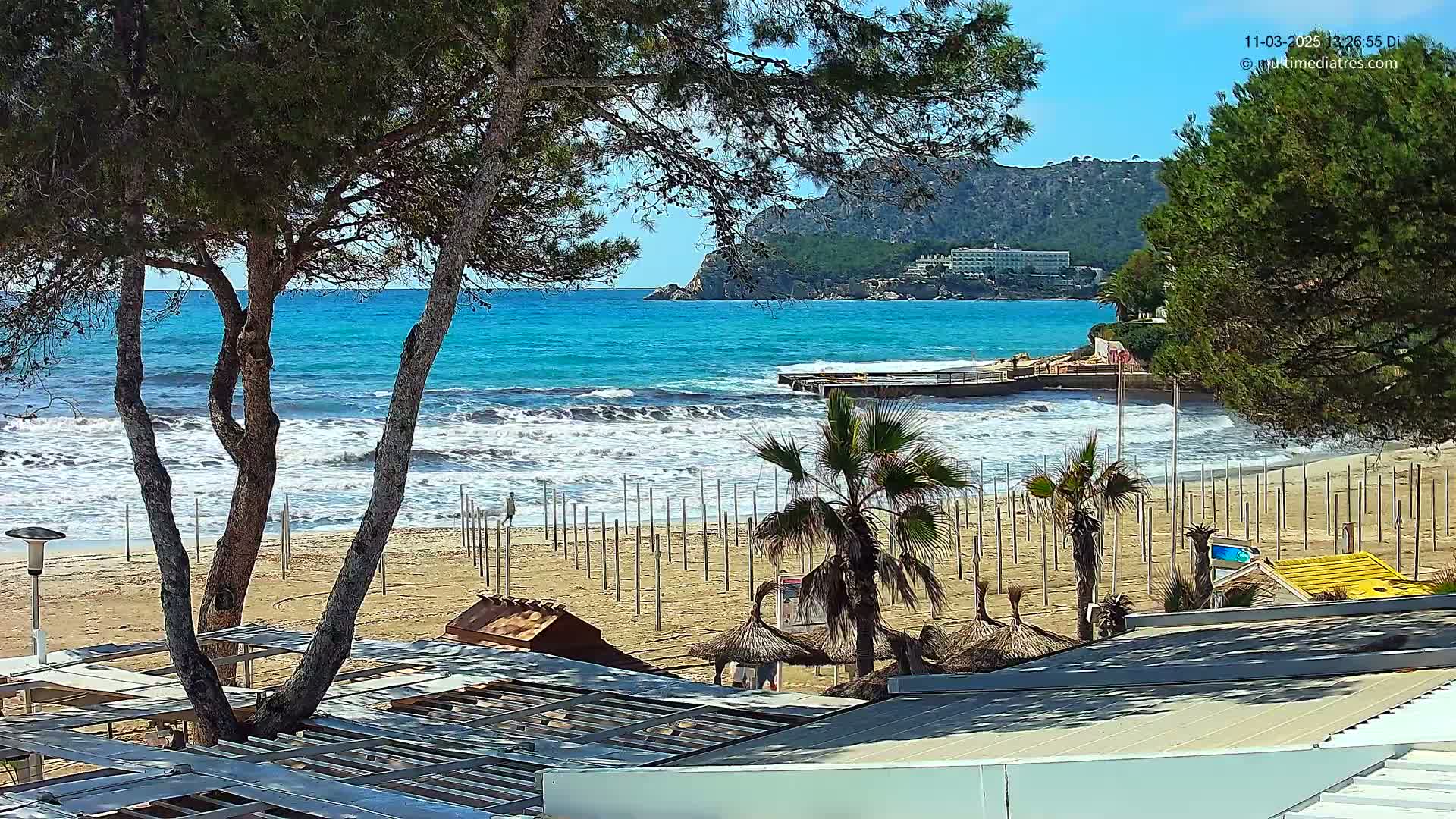 A sandy beach with turquoise water and small waves is partially visible through the branches of pine trees, with palm trees and beach umbrellas in the foreground under a sunny sky.