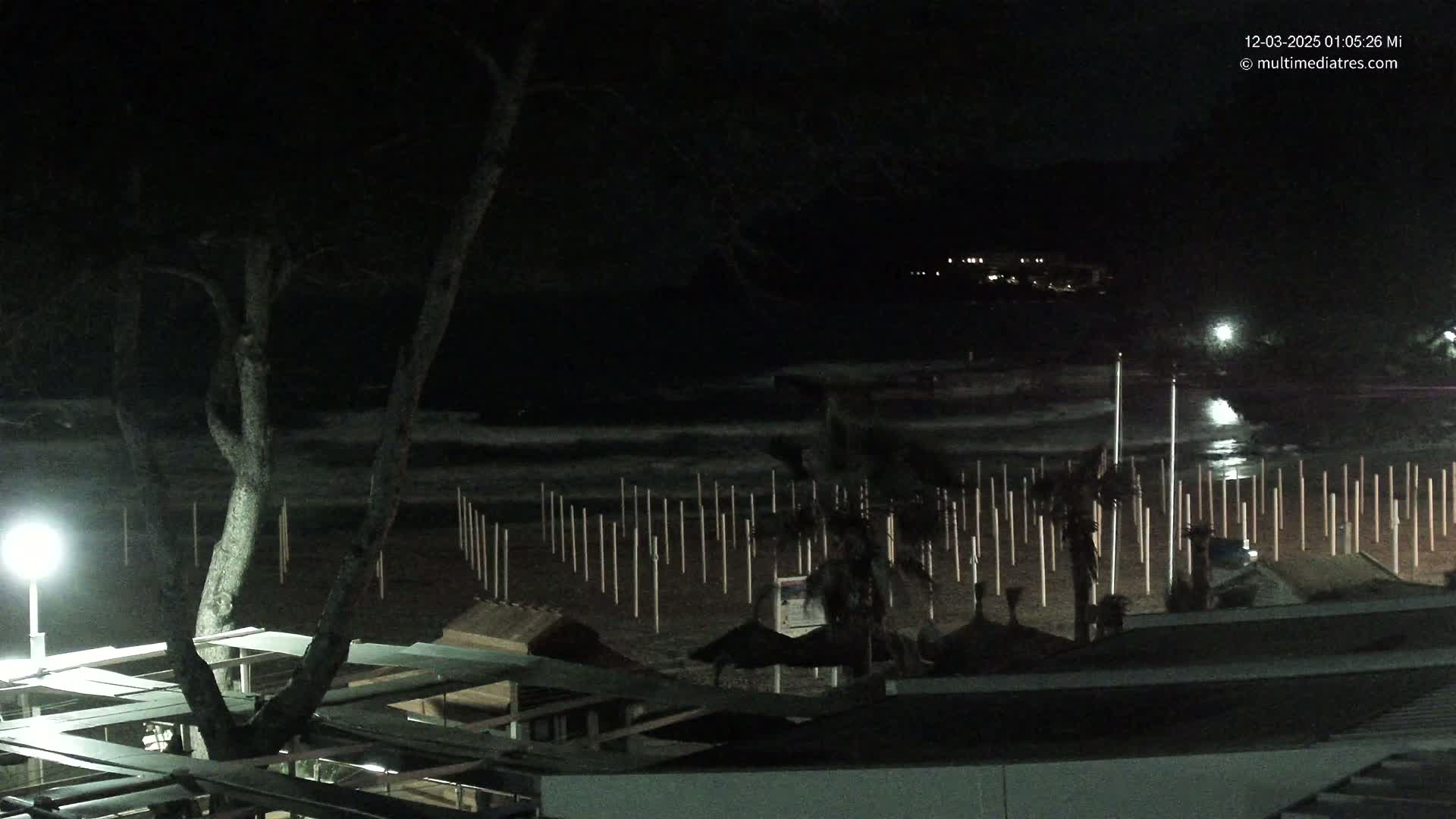A nighttime view of a dark beach with gently moving waves, a tree in the foreground, and rows of posts extending into the water.