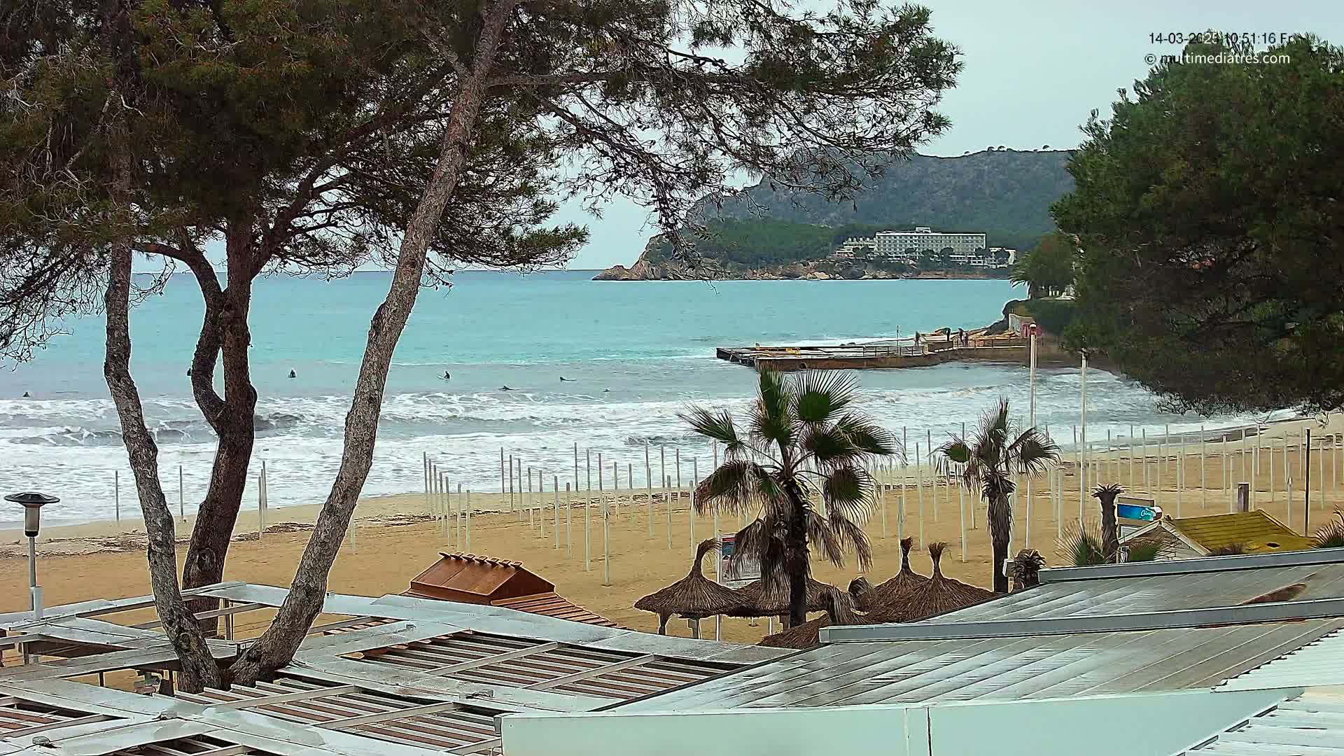 A sandy beach with several palm trees and beach umbrellas, partially obscured by pine trees, overlooks a turquoise ocean with small waves and a few surfers; the weather is overcast.