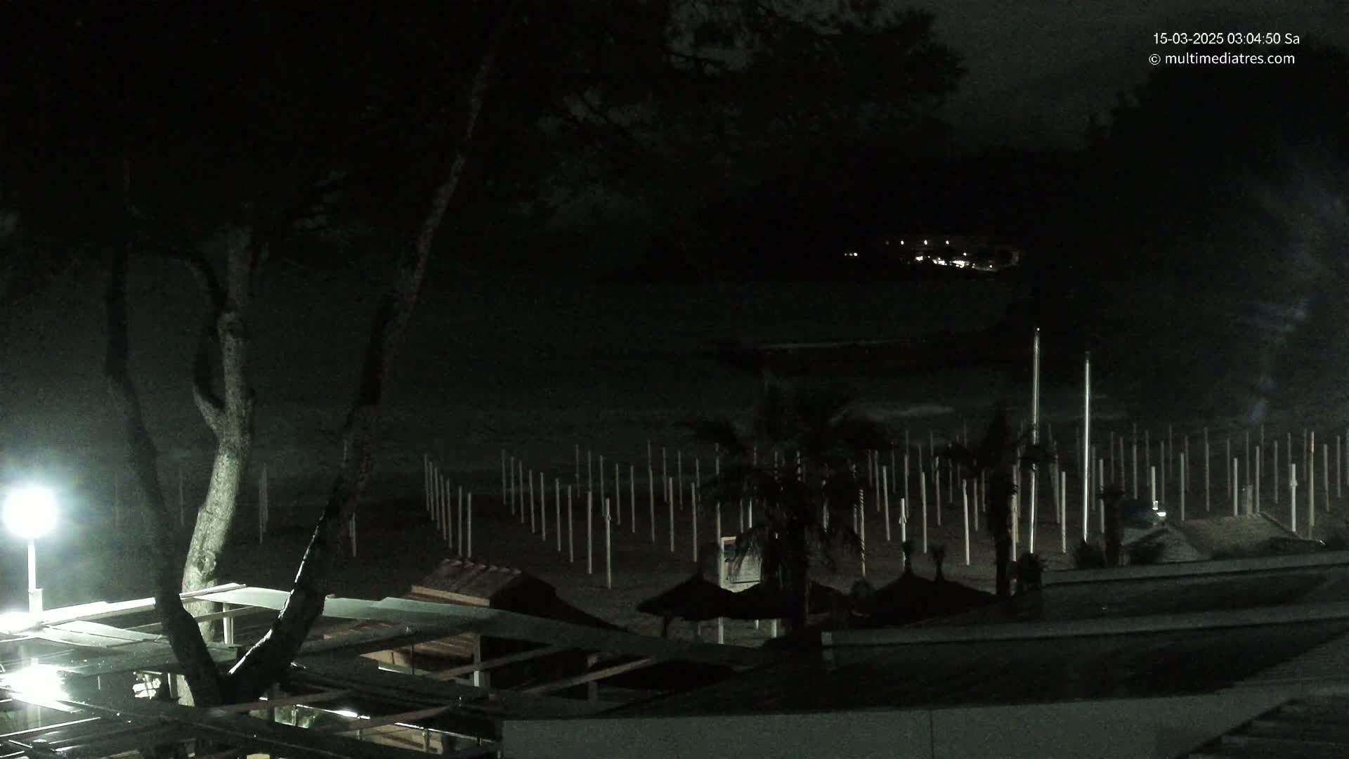 A nighttime view of a dark beach with tall, thin poles standing in the sand, a few palm trees, and a large tree in the foreground under a mostly clear night sky.