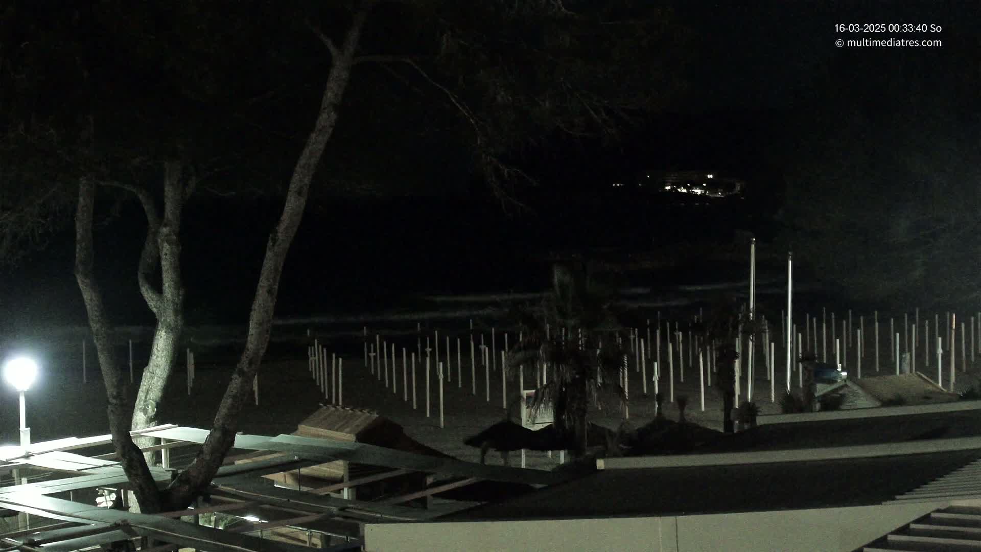 A nighttime view of a beach with numerous posts in the sand, a tree in the foreground, and dimly lit buildings and structures.