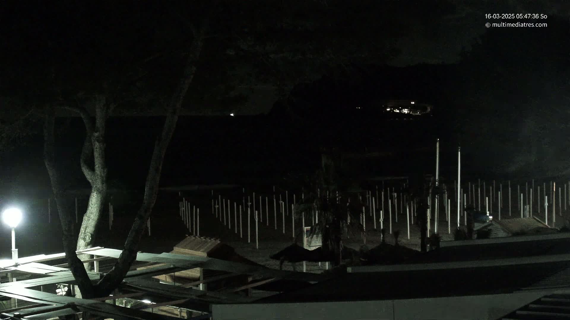 A nighttime view of a beach at night with numerous beach umbrella poles sticking out of the sand, a large tree in the foreground, and some small structures visible under dim lighting.