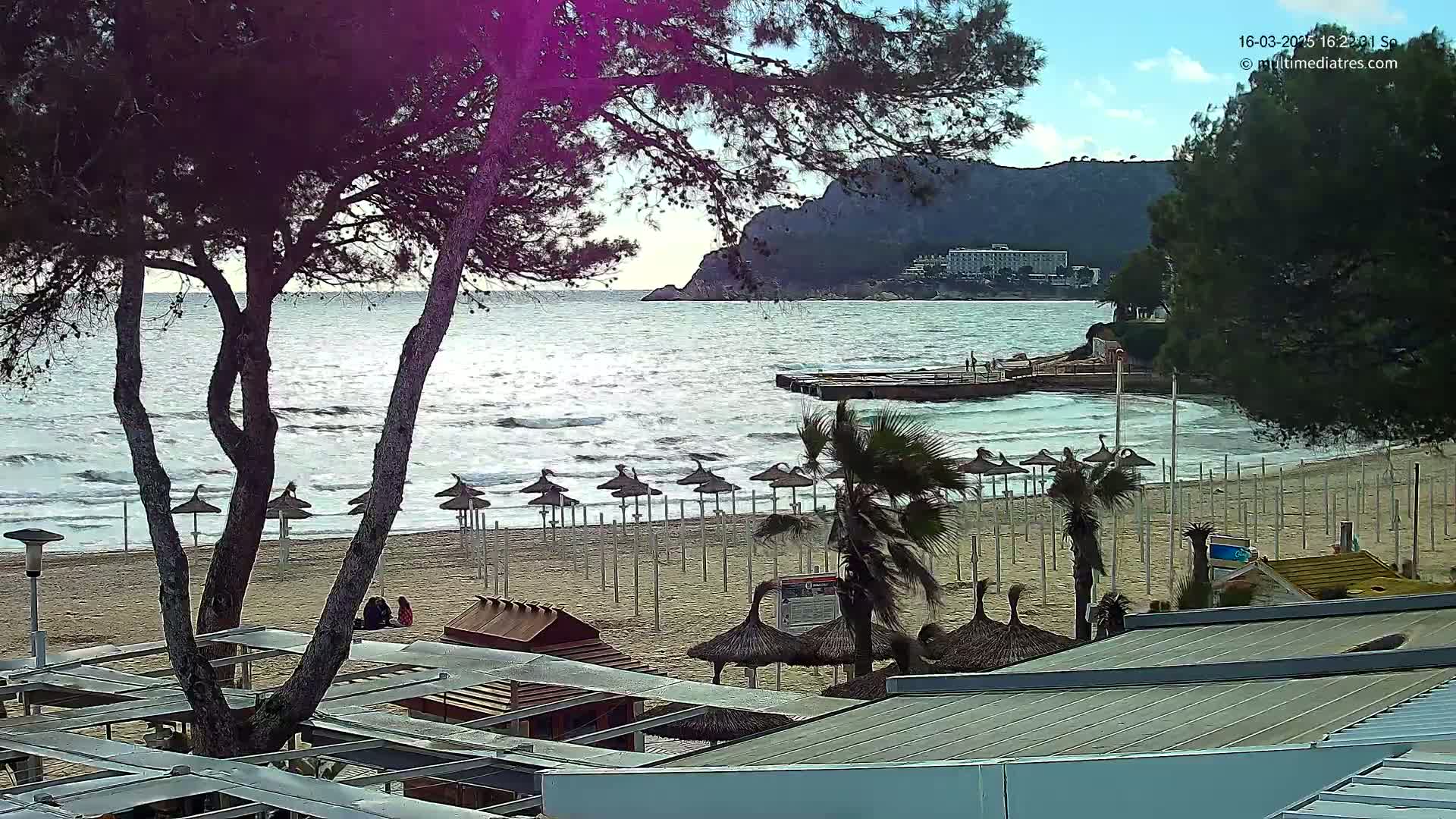 A sandy beach with rows of closed umbrellas and palm trees, overlooked by a rocky cliff and calm, slightly wavy ocean under a mostly clear sky.