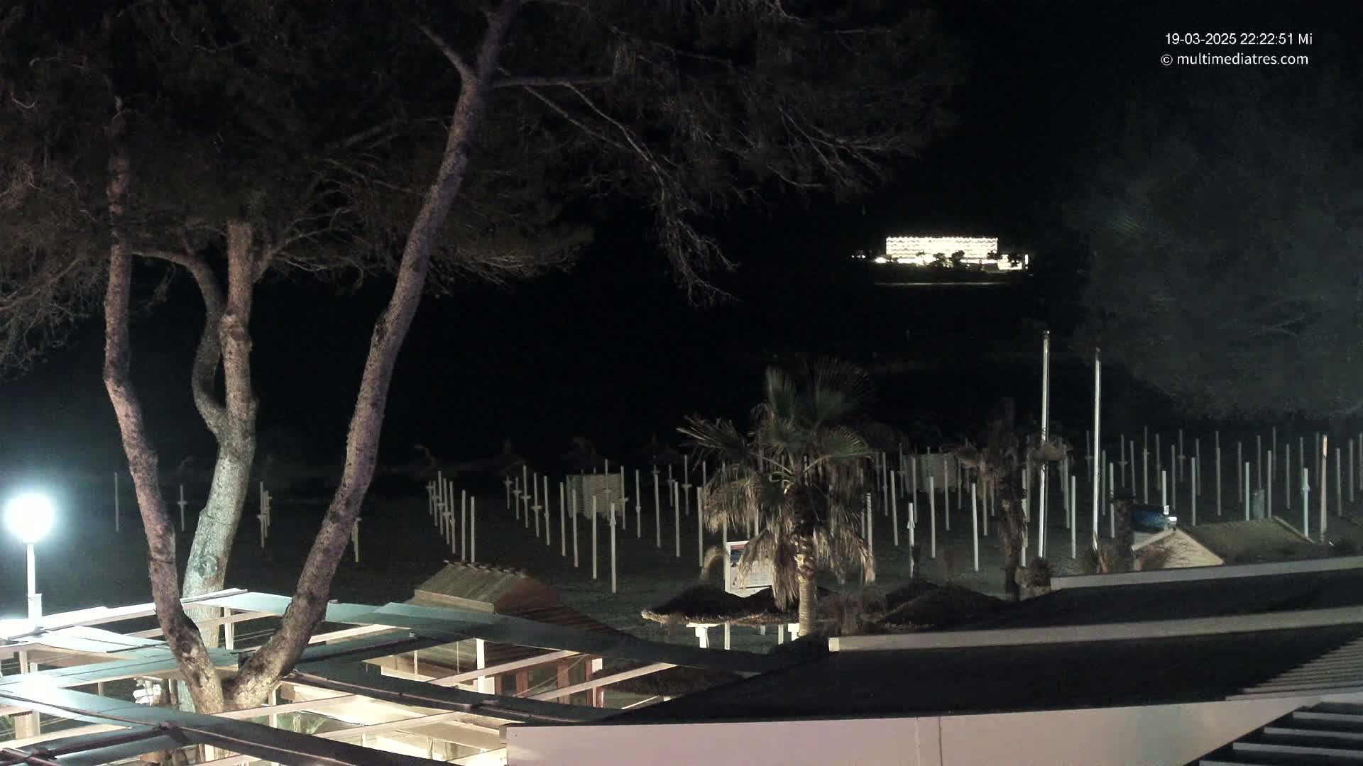 At night, a brightly lit building is visible in the distance beyond a dark beach with numerous upright posts and a lone tree illuminated by a lamp.