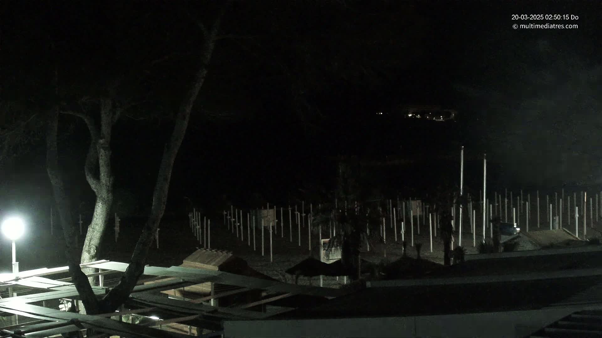 A nighttime view of a beach at night showing rows of beach umbrellas and a large tree, illuminated by a single lamp.