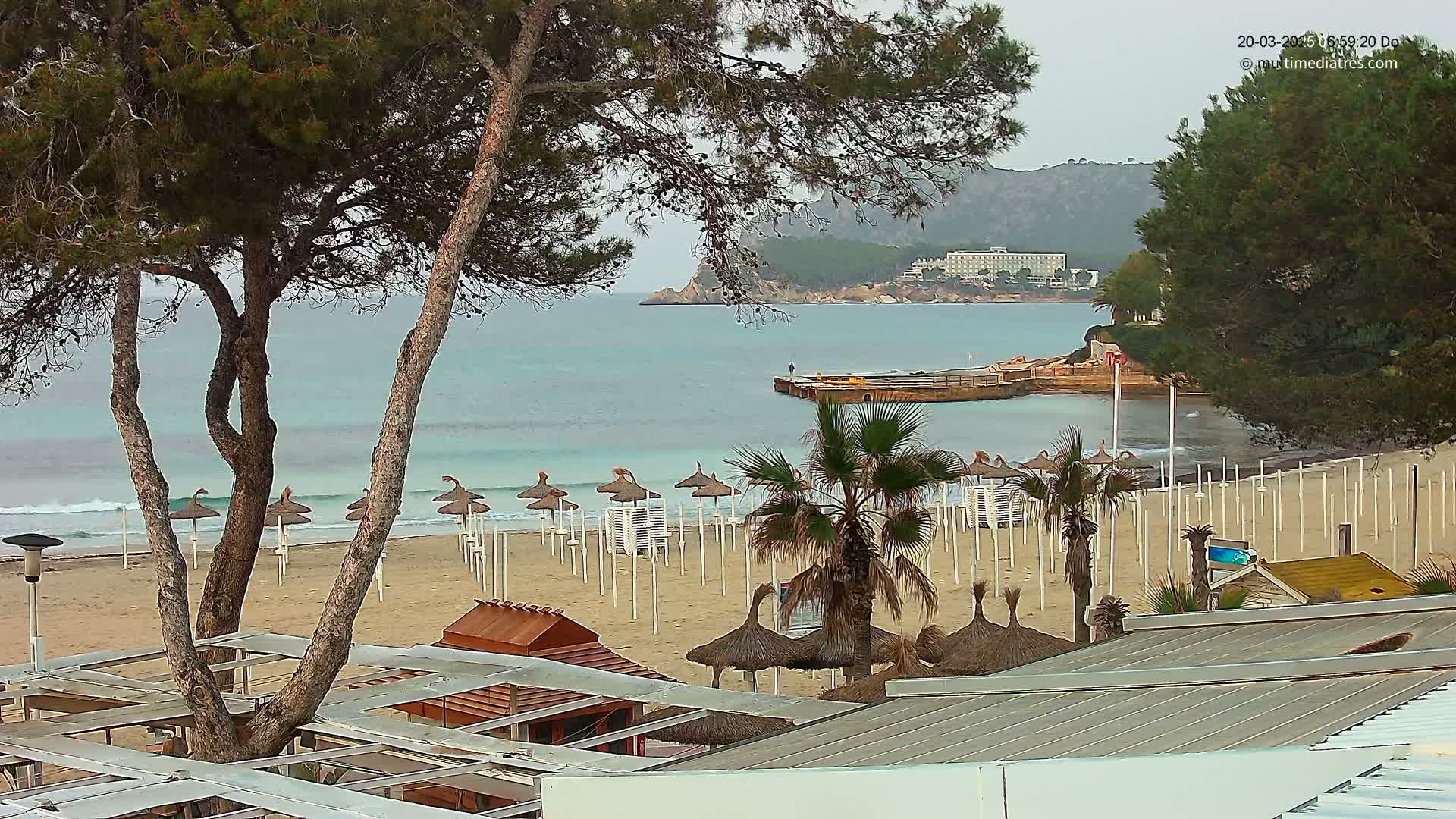 A sandy beach with numerous closed umbrellas and palm trees overlooks a calm, light-blue ocean under an overcast sky.
