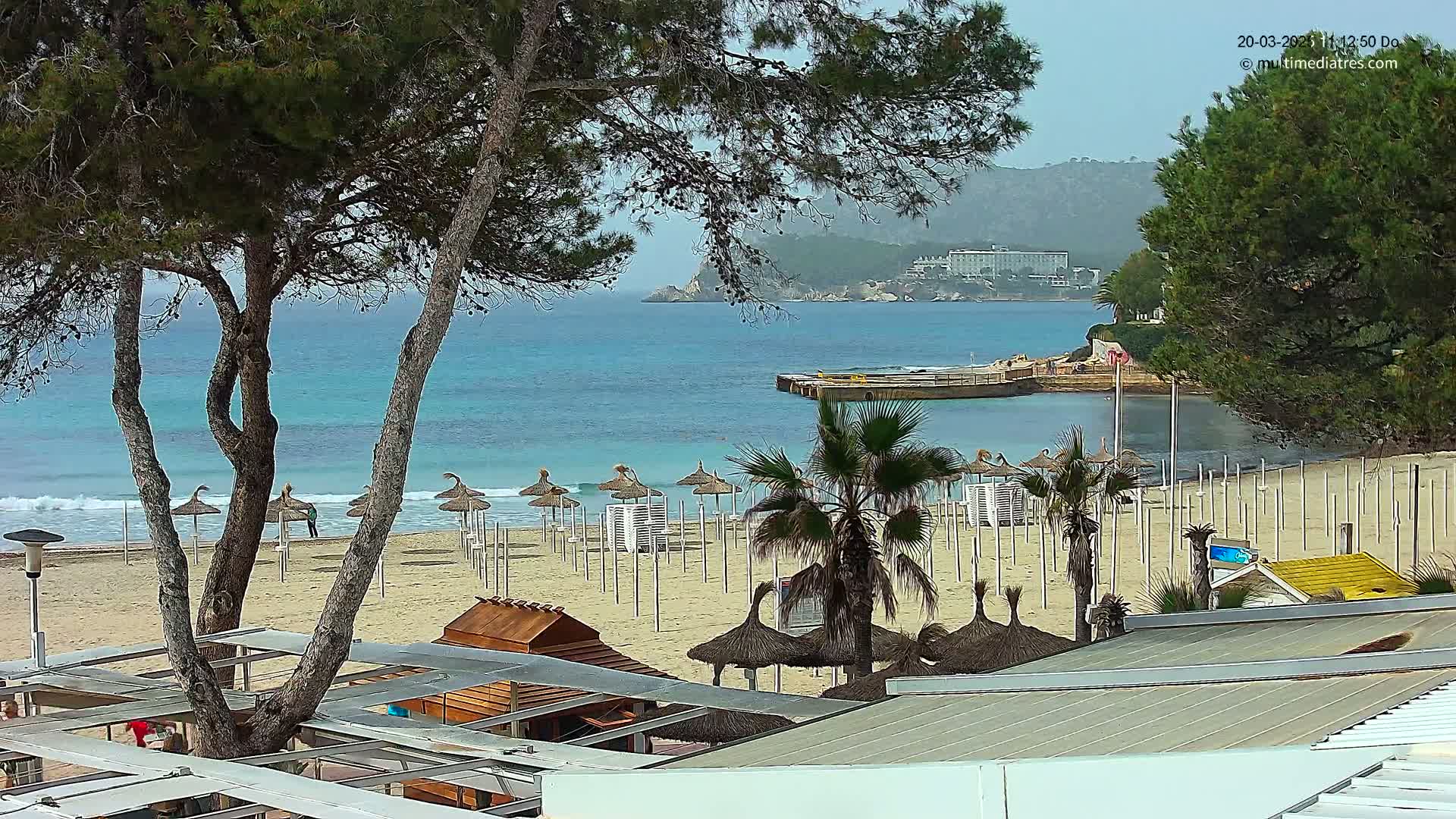 A sandy beach with numerous closed straw umbrellas lines a calm, turquoise ocean under a mostly clear sky, with pine trees and palm trees in the foreground and a distant hotel visible across the water.