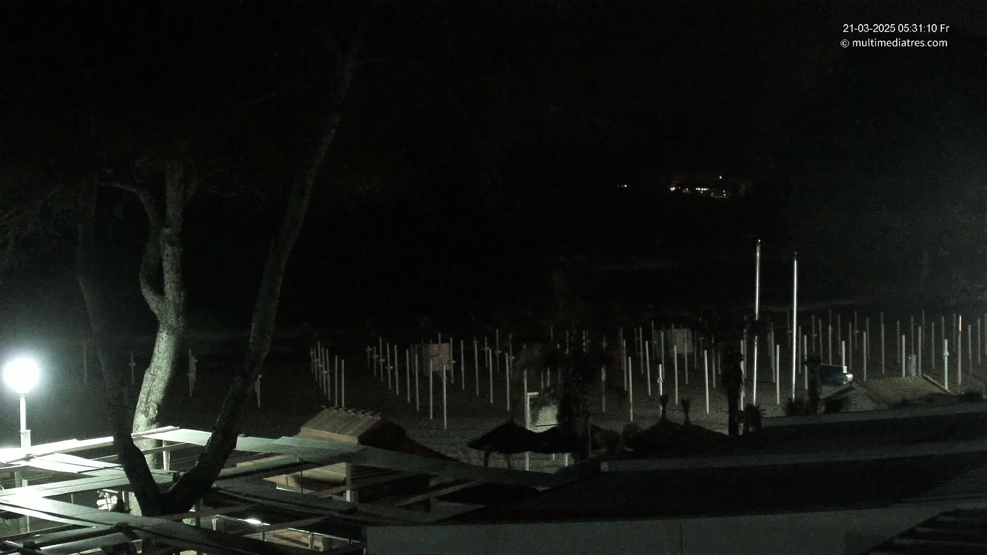 A nighttime view of a beach with numerous upright posts on the sand, a tree illuminated by a lamp, and dark structures in the foreground.