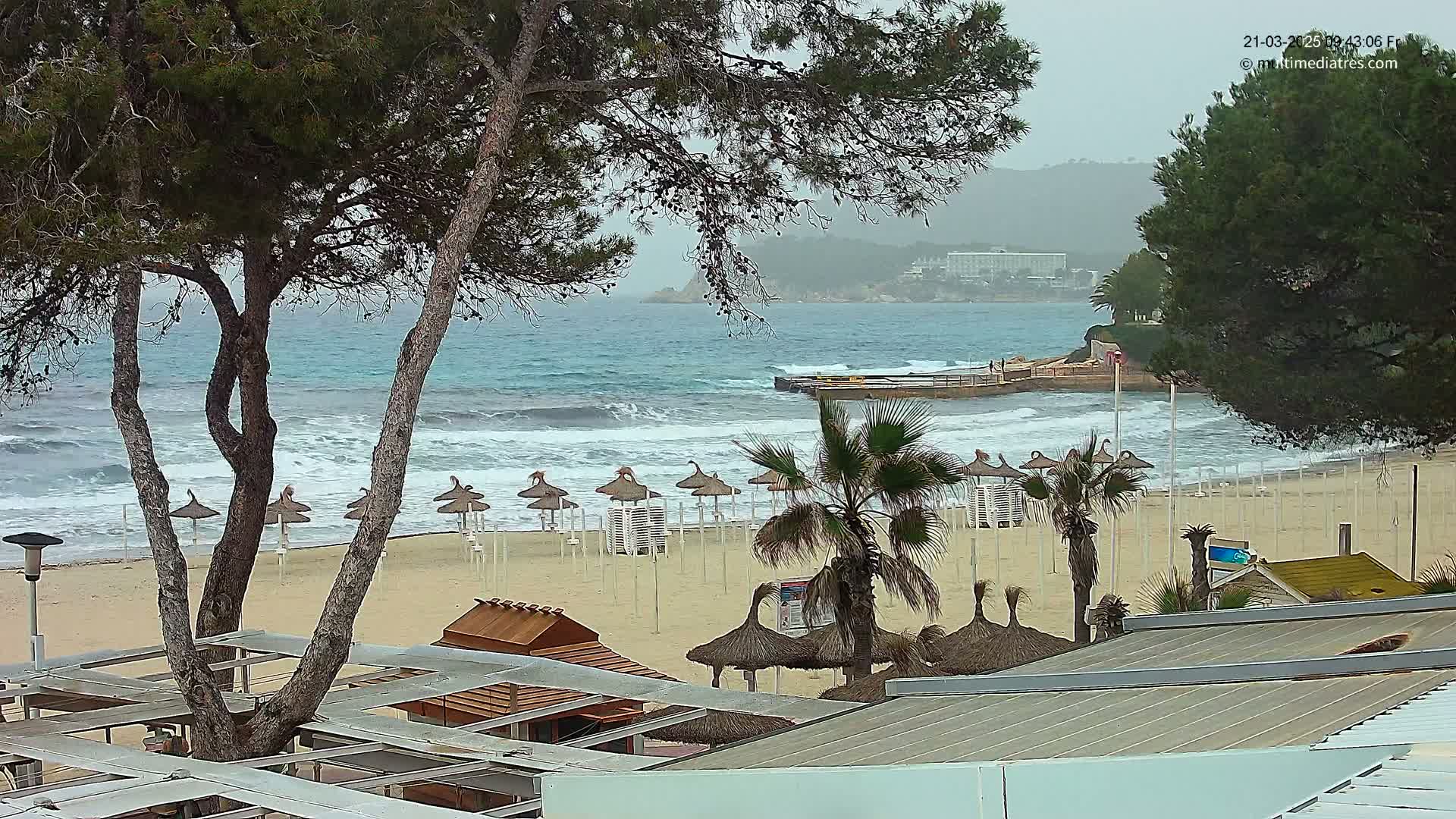 A sandy beach with rows of closed umbrellas and palm trees is visible under an overcast sky, with moderately sized waves crashing on the shore and a hazy view of buildings and hills in the distance.
