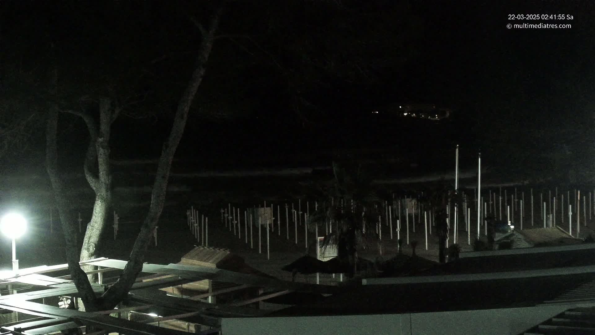 A nighttime view of a beach at night, showing a dark sandy area with numerous upright posts and a tree illuminated by a nearby lamp.
