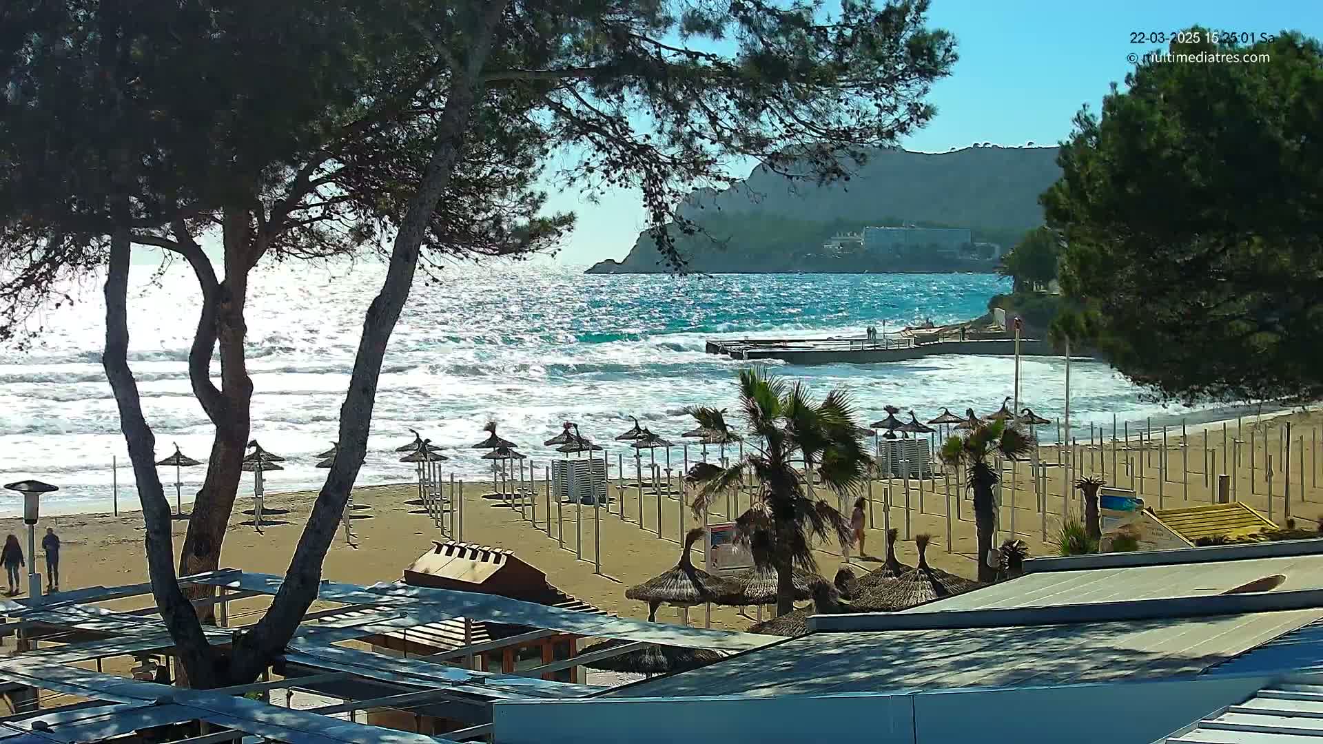 A sandy beach with numerous closed umbrellas and palm trees is partially visible through the branches of pine trees, overlooking a wavy ocean and a distant rocky coastline under a sunny sky.
