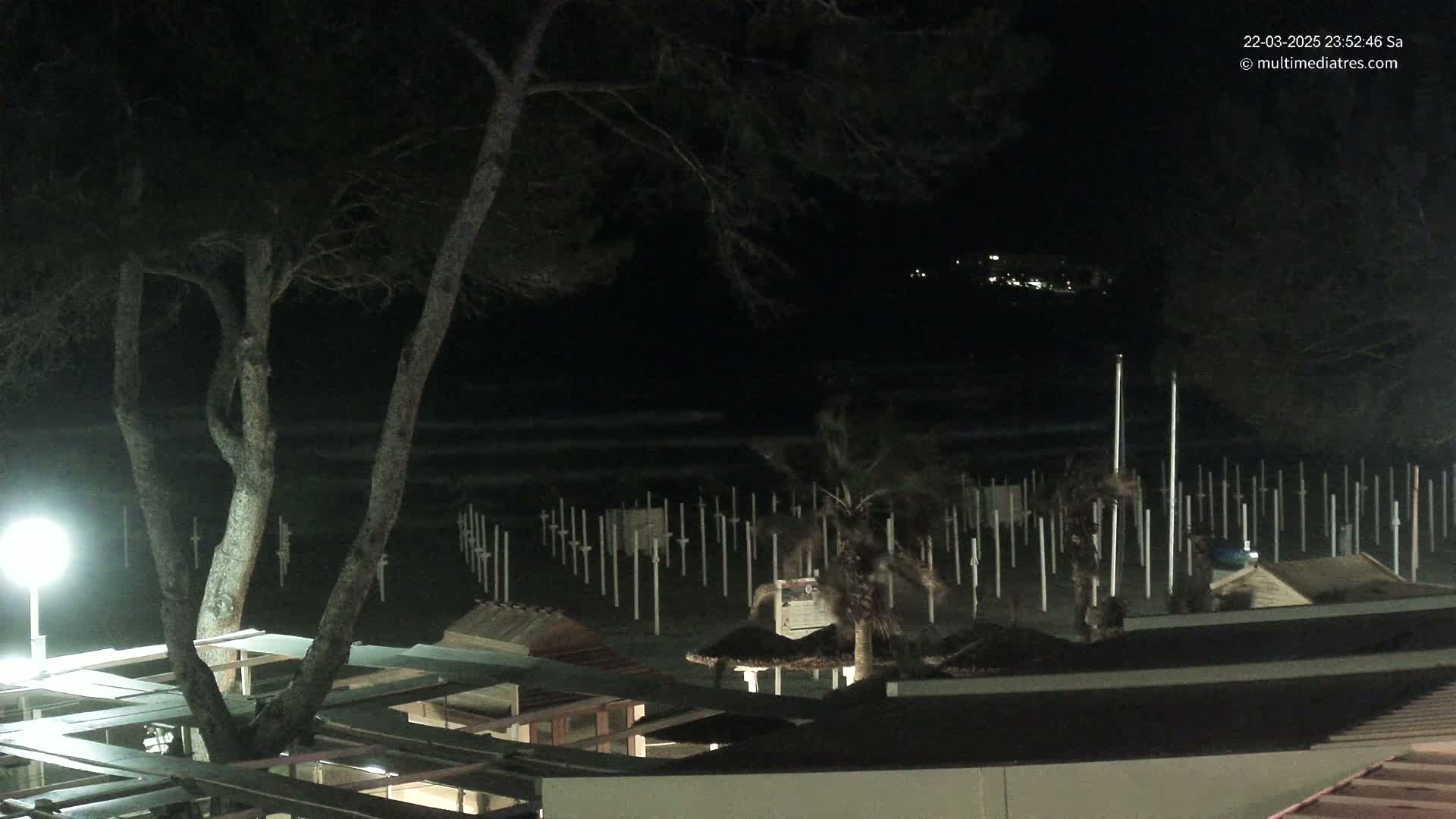 A nighttime view of a beach with calm waves, numerous beach umbrella stands, and a few palm trees, under a dark sky.