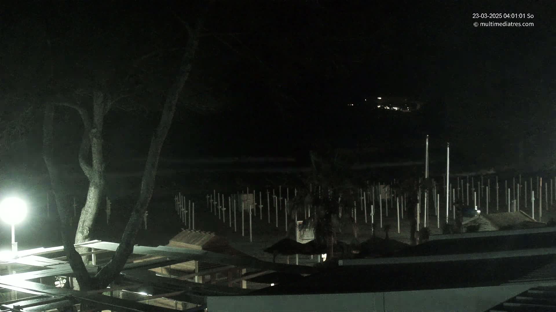 A nighttime view shows a tree illuminated by a lamp, overlooking a beach with numerous posts and some small structures under a dark, possibly cloudy sky.