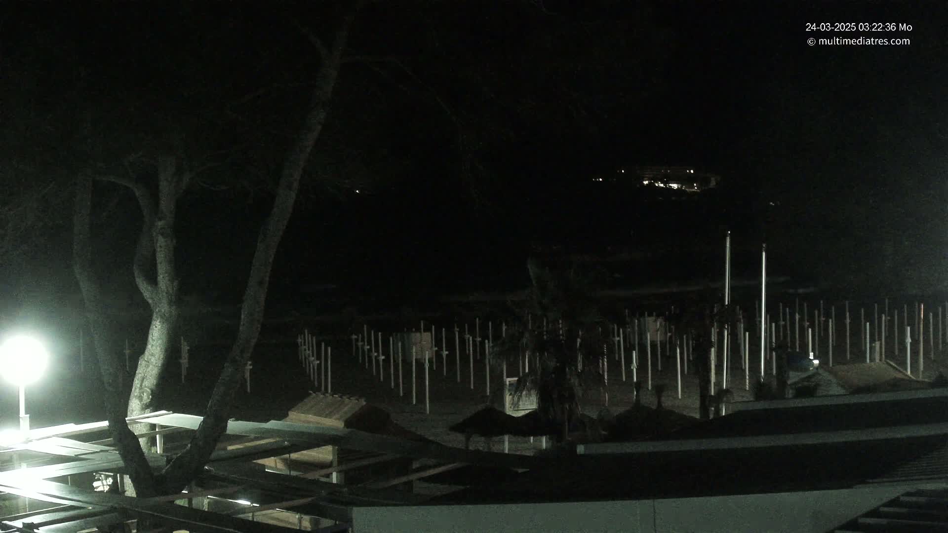 A nighttime view of a beach with numerous upright posts, possibly beach umbrella stands, under a dark sky illuminated by a single light source near a tree.