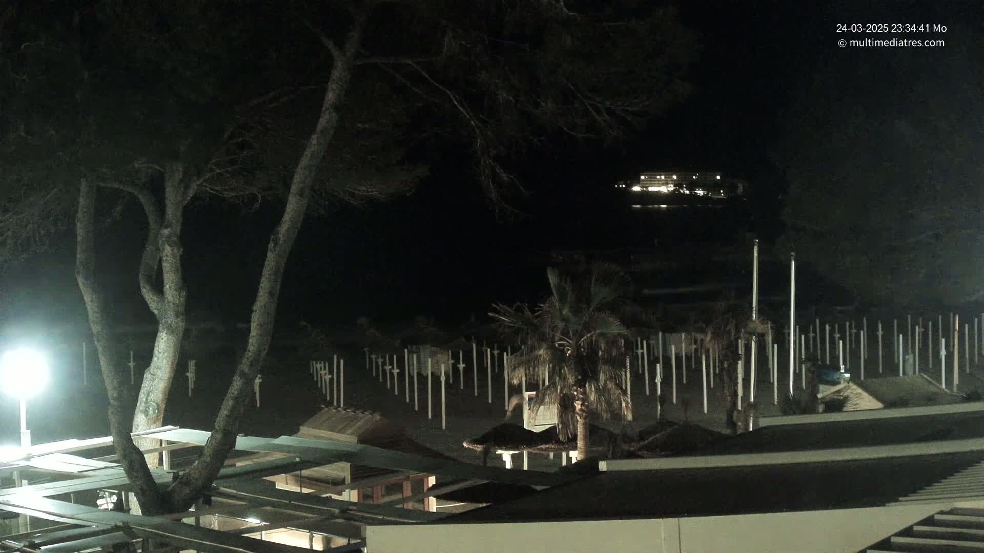 A nighttime view of a beach with a row of posts, a palm tree, and a distant building illuminated by lights.