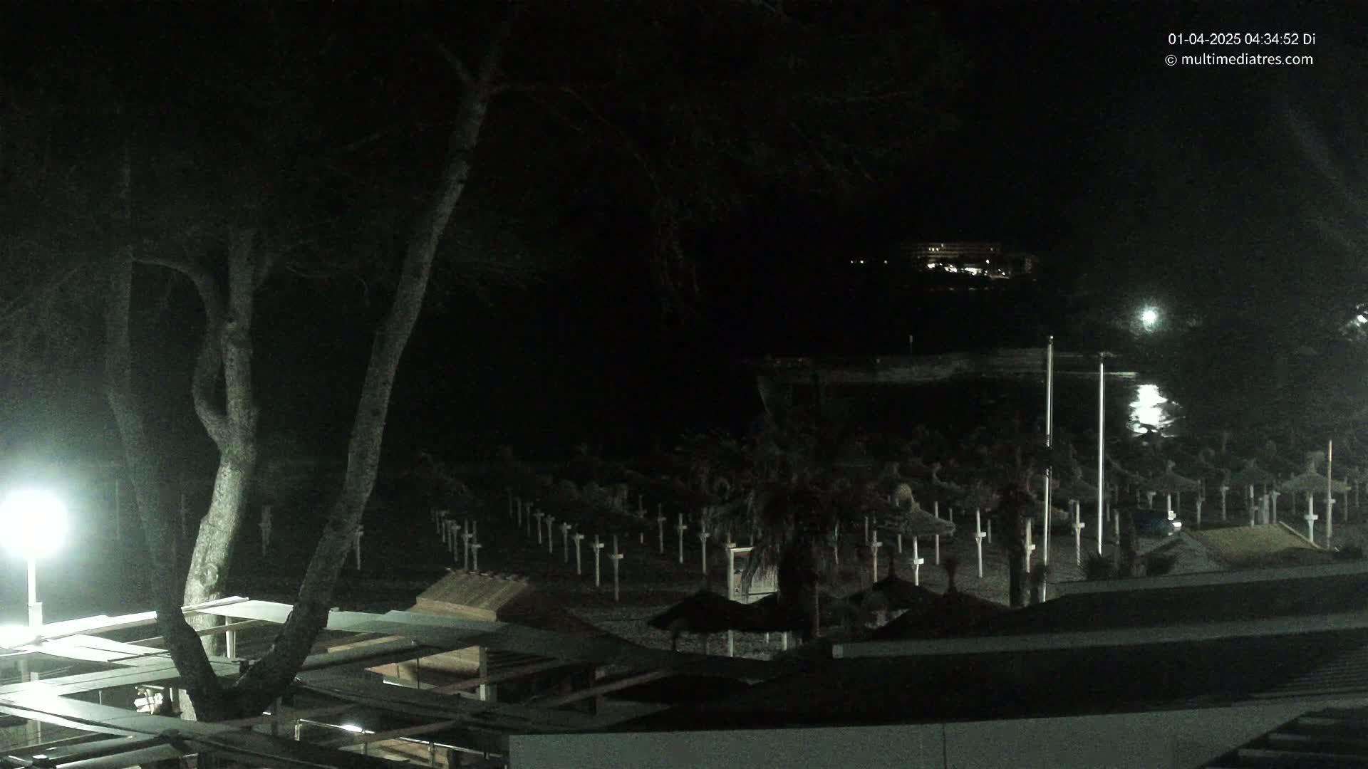 At night, a large tree stands in the foreground, partially obscuring a view of a beach with numerous closed umbrellas under a dark sky.