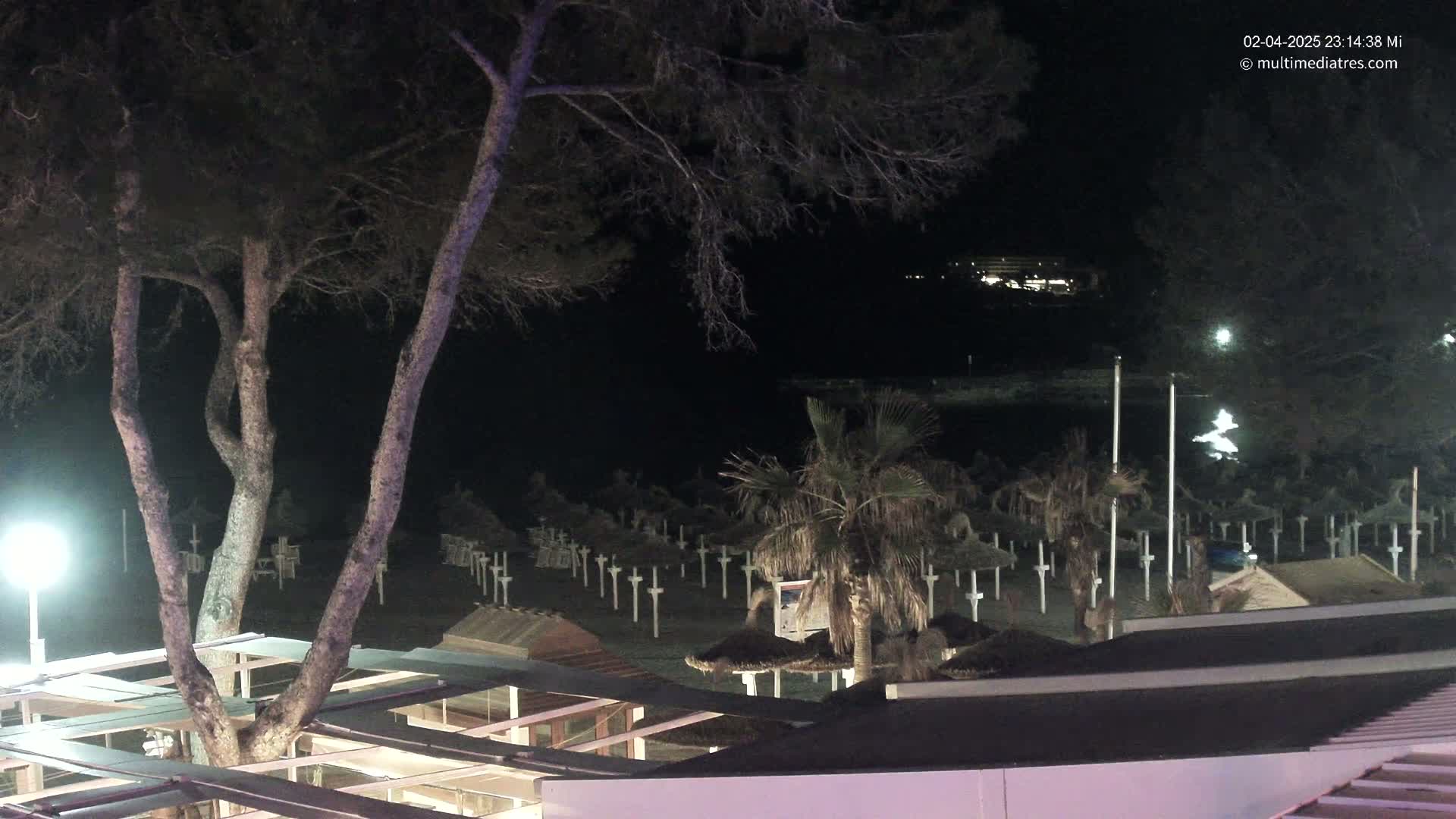 A nighttime beach scene shows a dark sandy area with numerous closed beach umbrellas and a large tree in the foreground, with dimly lit buildings and a dark body of water in the background.