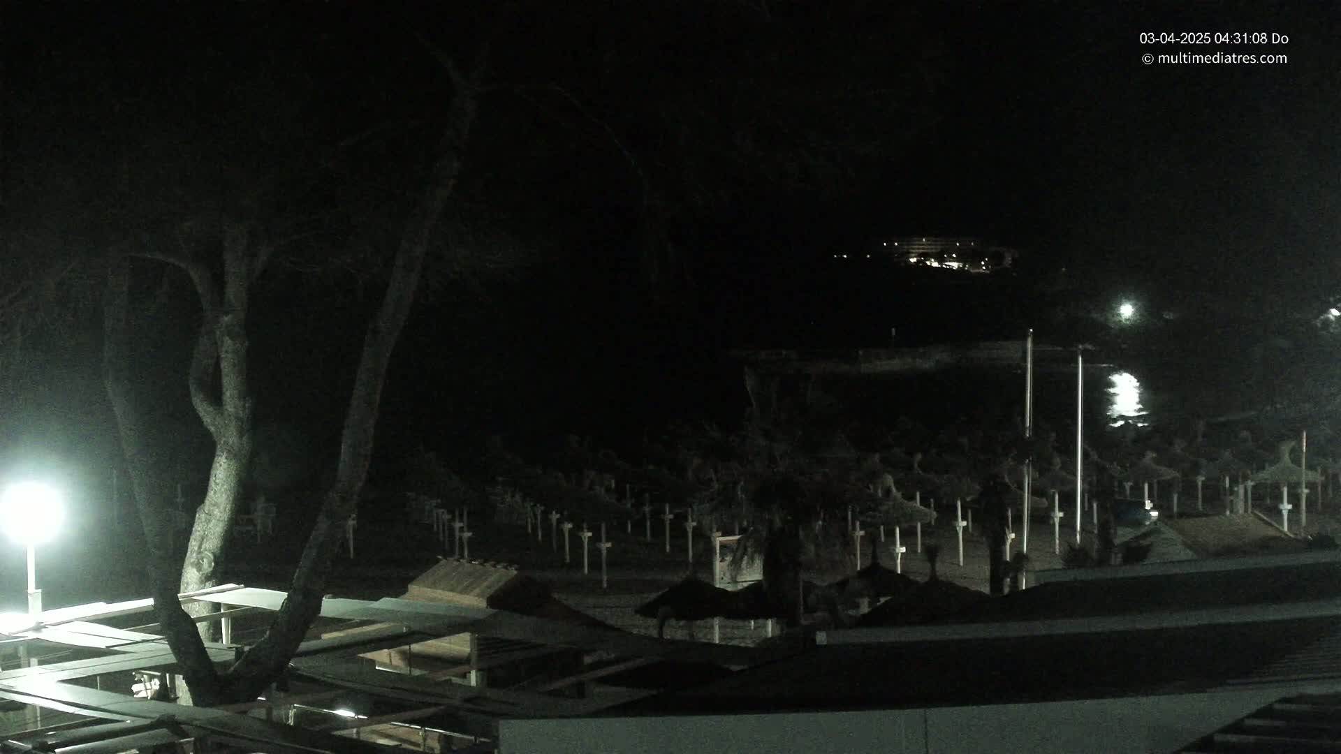 A nighttime view of a beach with numerous closed umbrellas under a dark sky.