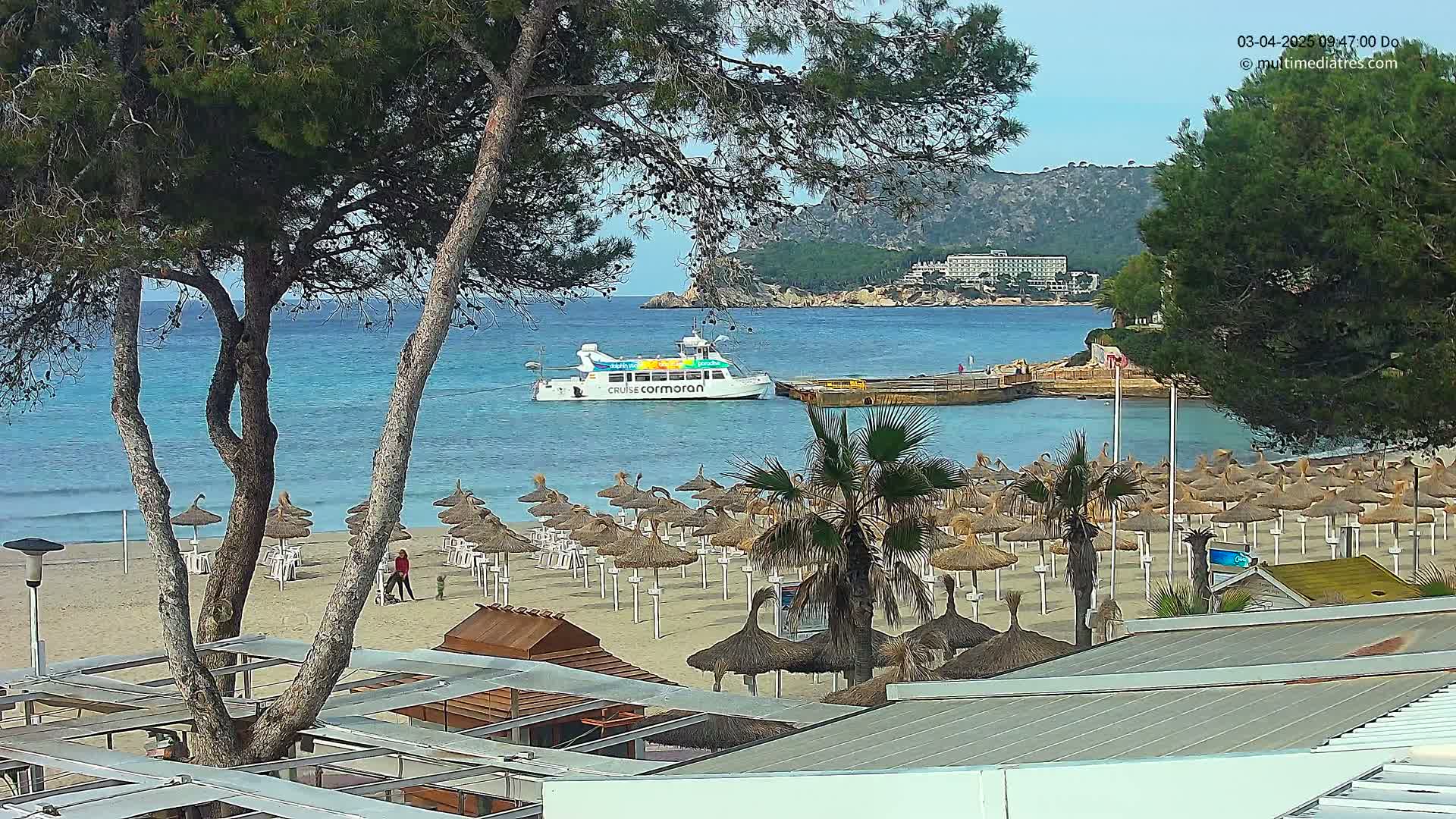 A sandy beach with numerous thatched umbrellas, palm trees, and a boat in a calm, blue ocean under a clear sky.