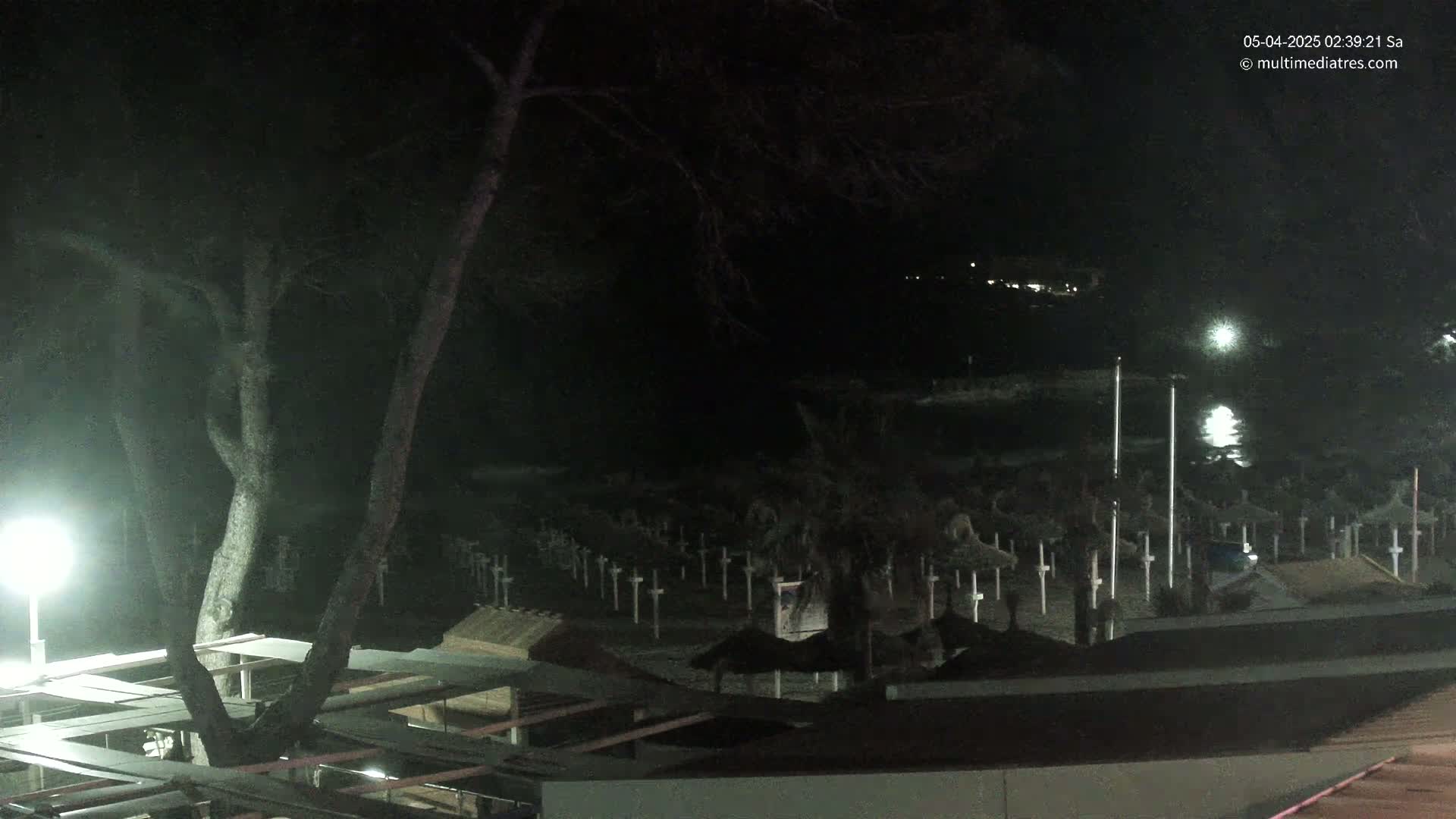 A nighttime view of a beach with numerous closed umbrellas under a dark sky, a large tree in the foreground, and a calm body of water in the background.