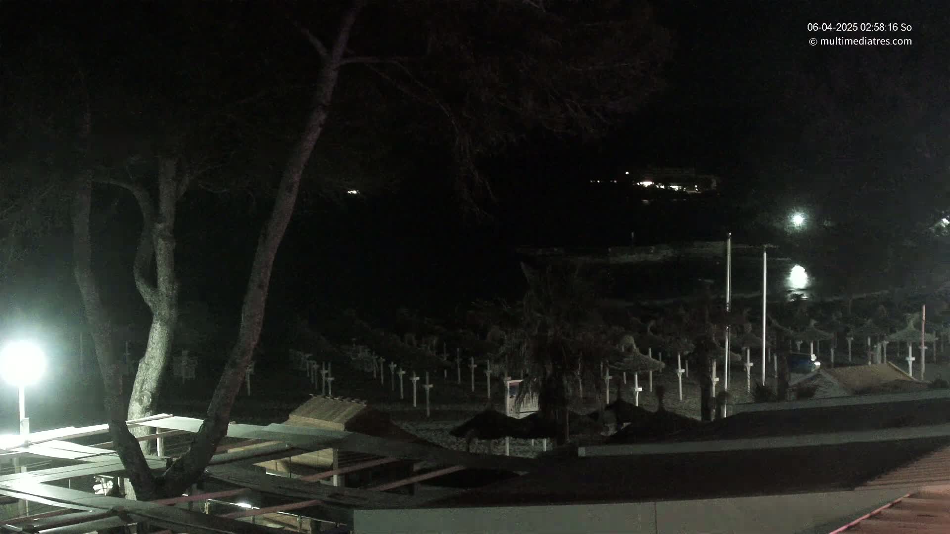 A nighttime view of a beach with numerous closed umbrellas, a tree in the foreground, and dimly lit buildings in the distance.