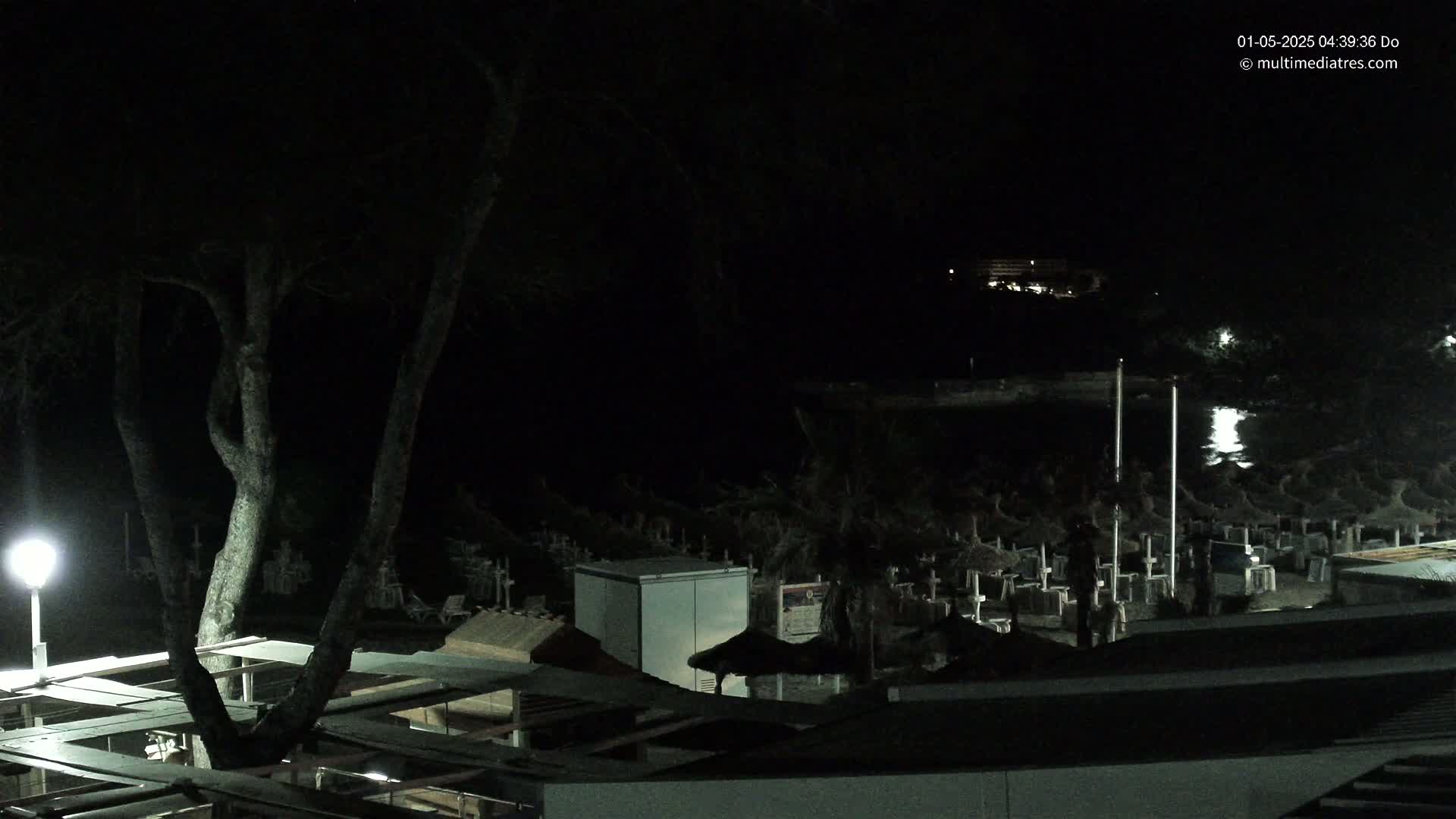 A nighttime view of a beach at low tide, showing numerous closed beach umbrellas and a tree partially obscuring a structure, all under a dark sky.