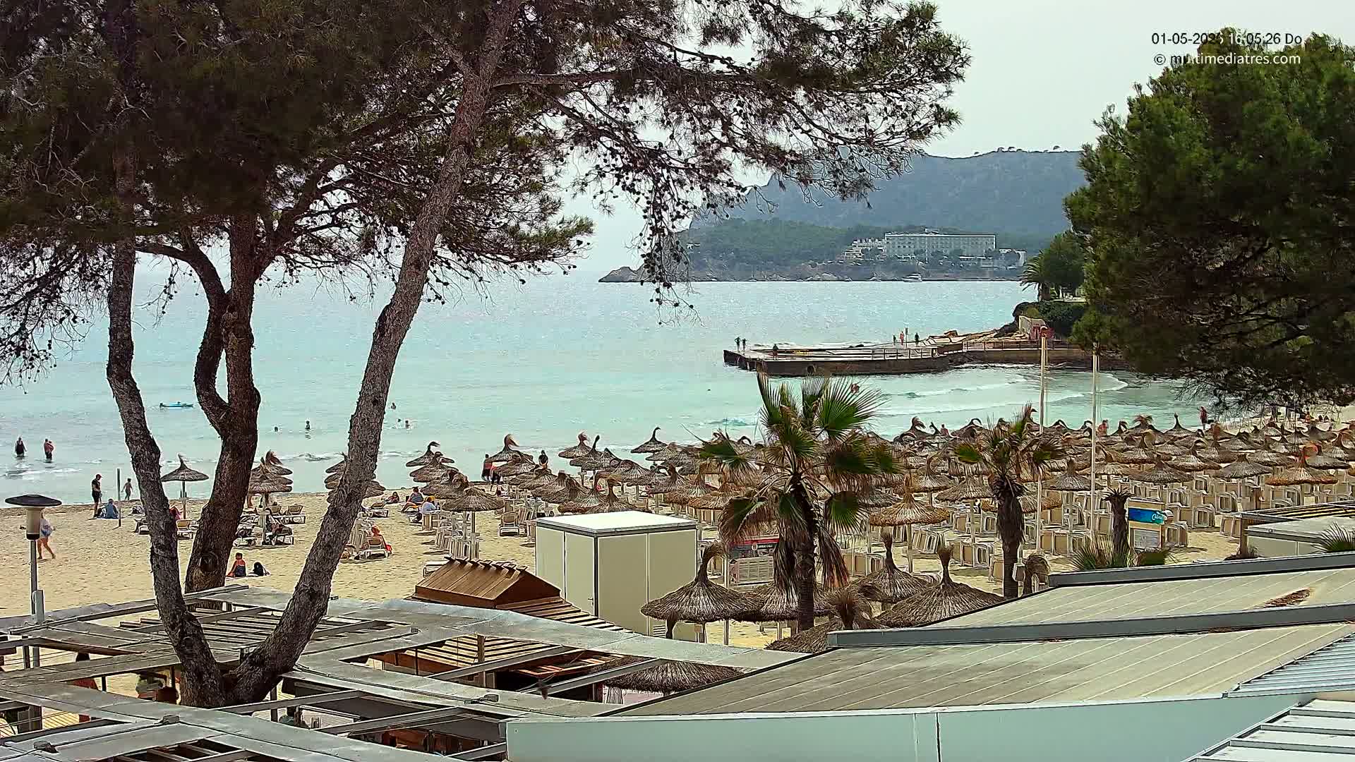 A sandy beach with numerous thatched umbrellas and lounge chairs sits below a line of trees overlooking a calm, light-blue ocean with a small pier and distant hills.