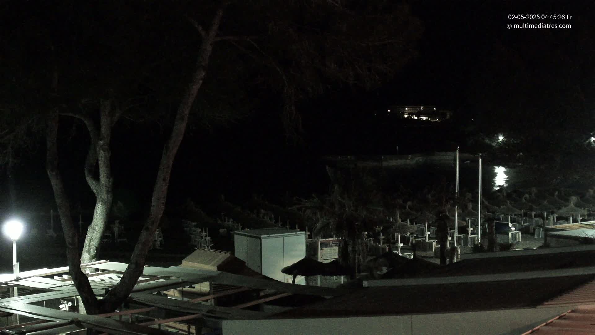 A nighttime view of a beach area with closed umbrellas and a tree, illuminated by a single lamppost, overlooking a dark body of water.